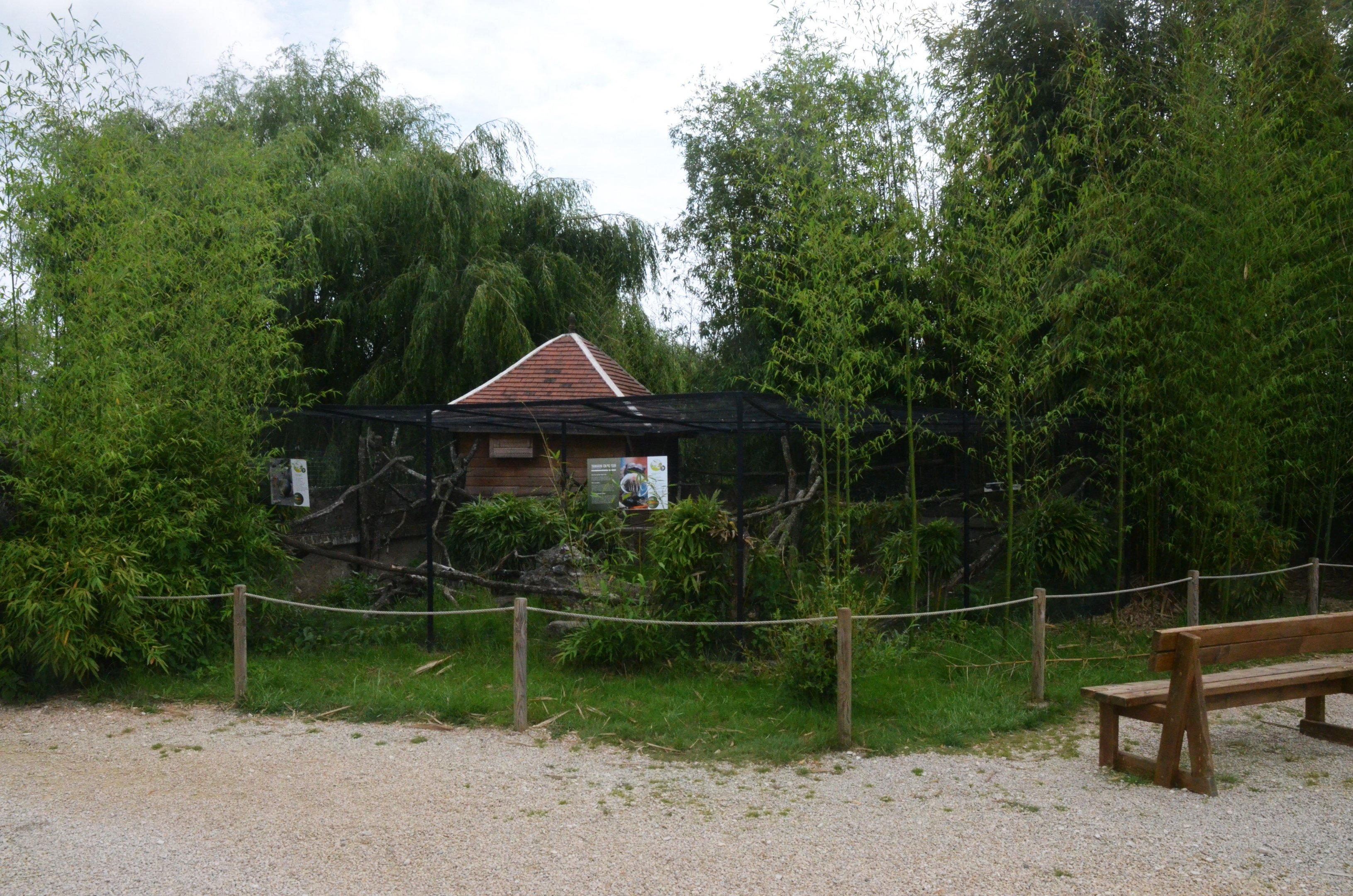 Azara's Agouti/Emperor Tamarin Enclosure at Haute-Touche, 14/06/18