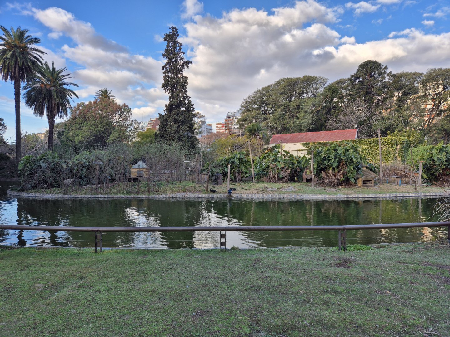 Azara's Capuchin Island