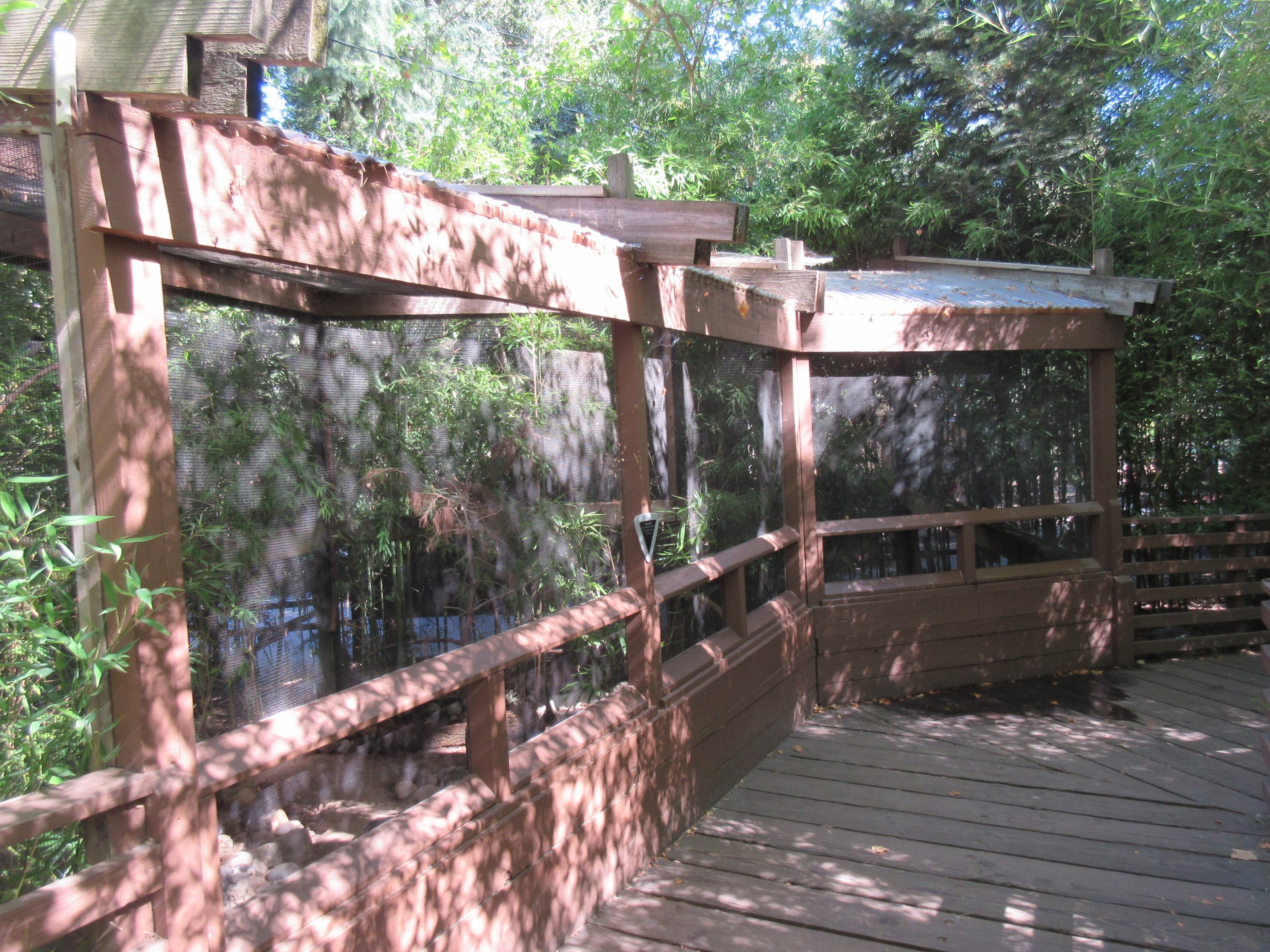 Azure-Winged Magpie/Himalayan Monal Pheasant Exhibit