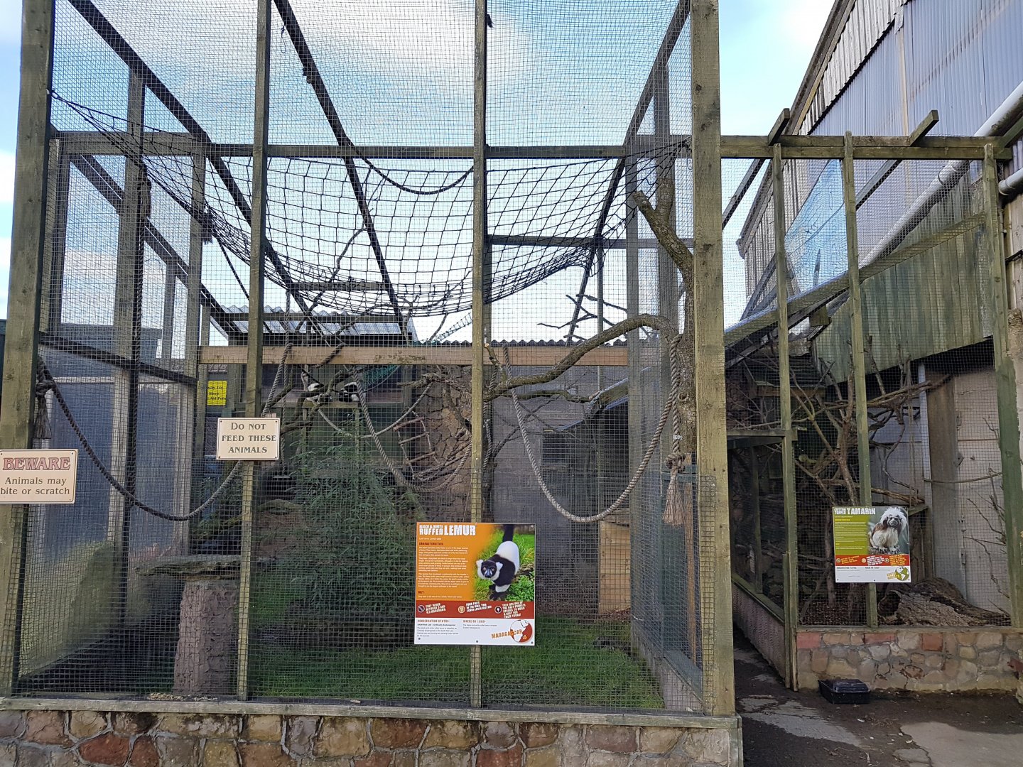 B/W Ruffed Lemur and Cotton Topped Tamarin Enclosures - Noahs Ark Zoo Farm