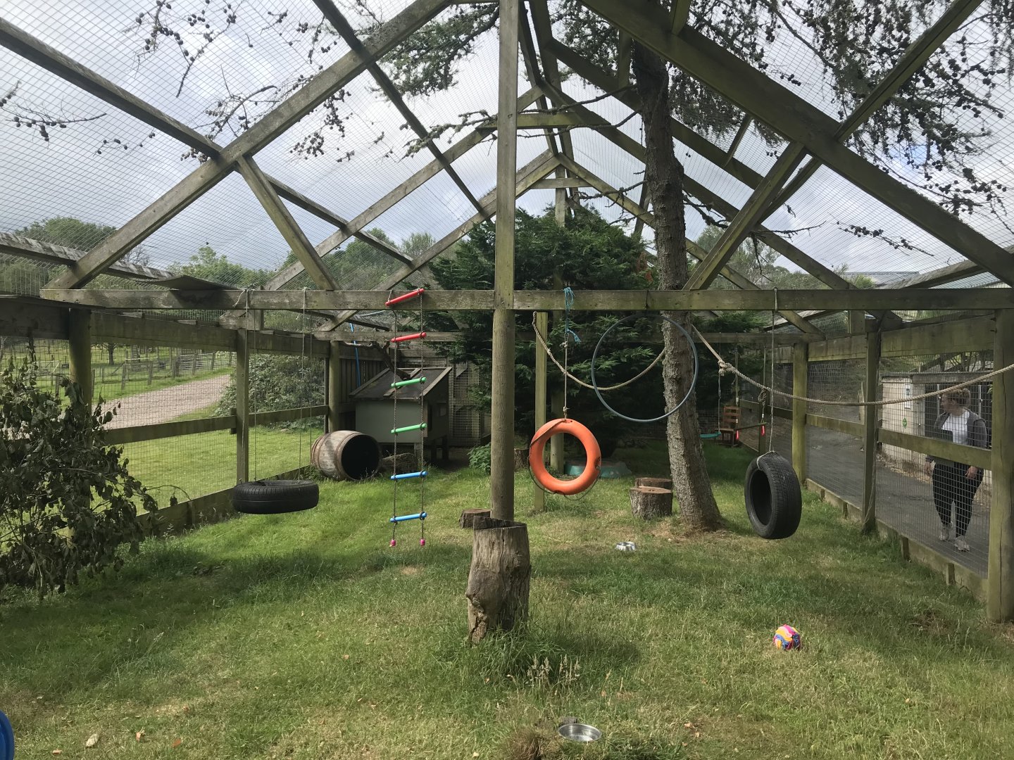 B&W ruffed lemur enclosure