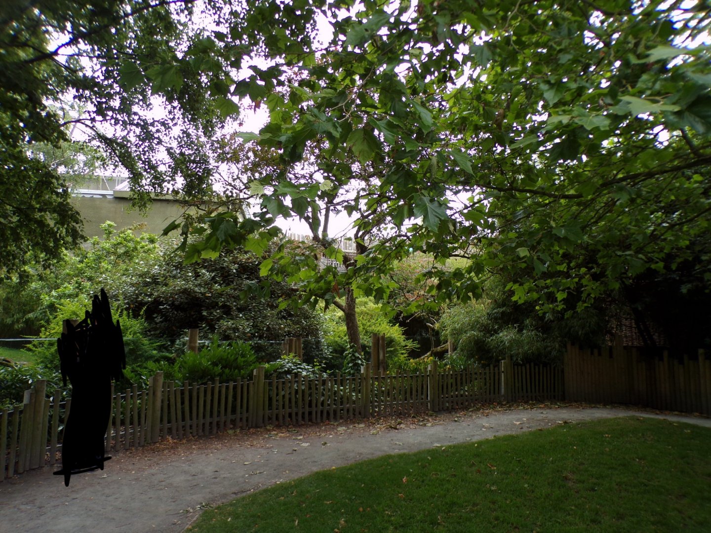 Babirusa and asian short-clawed otter enclosure 29.6.24