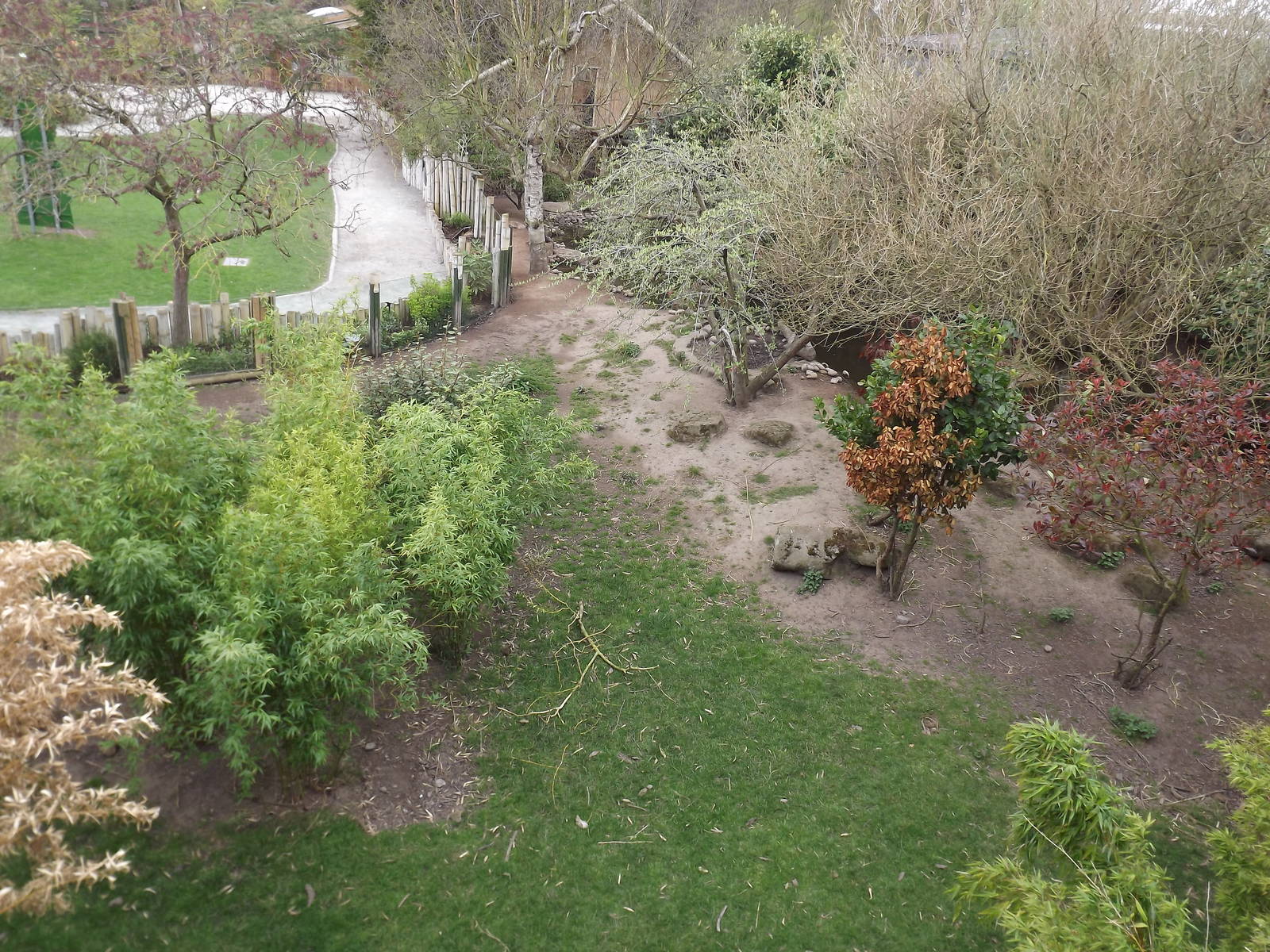 Babirusa and Otter exhibit at Chester Zoo 31/03/12
