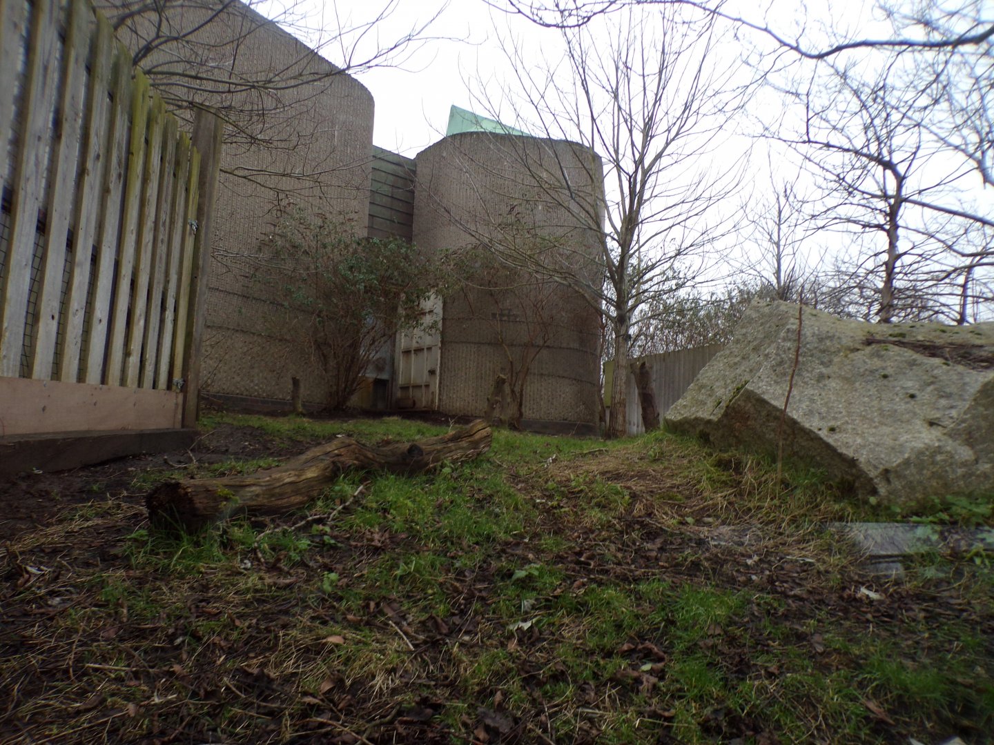 Babirusa enclosure 11.2.25