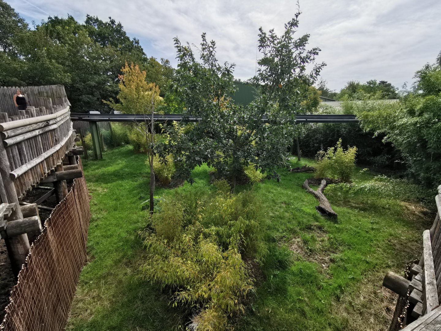 Babirusa enclosure (by Fruit Bat Forest)