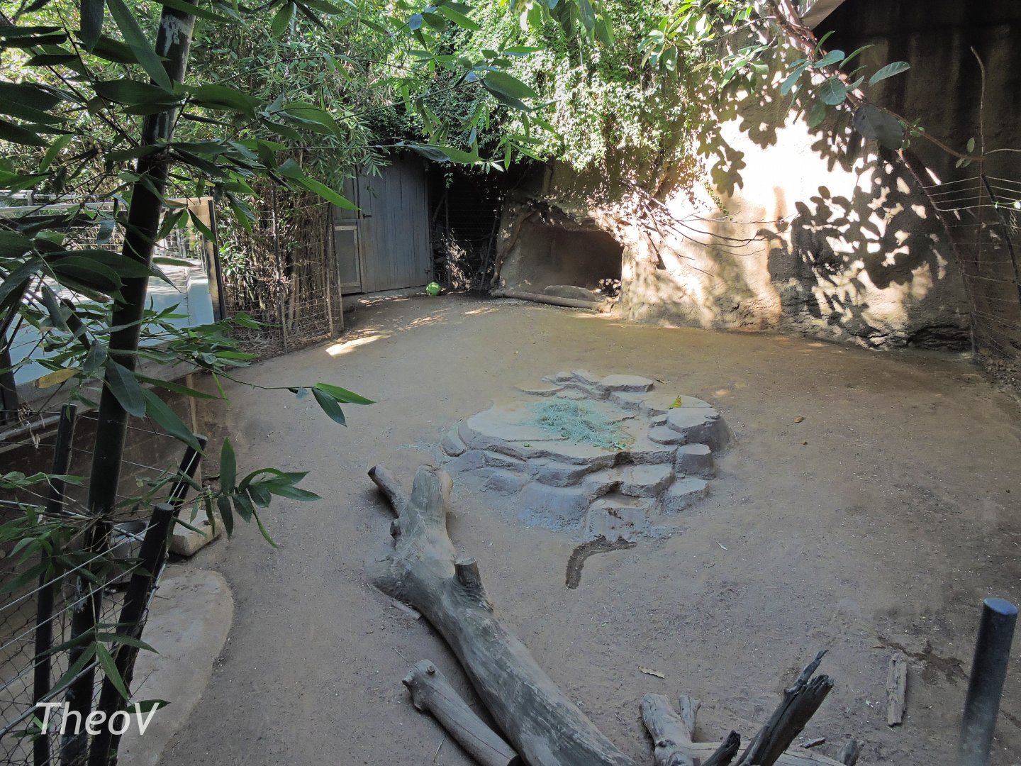 Babirusa exhibit - Lost Forest [2015]