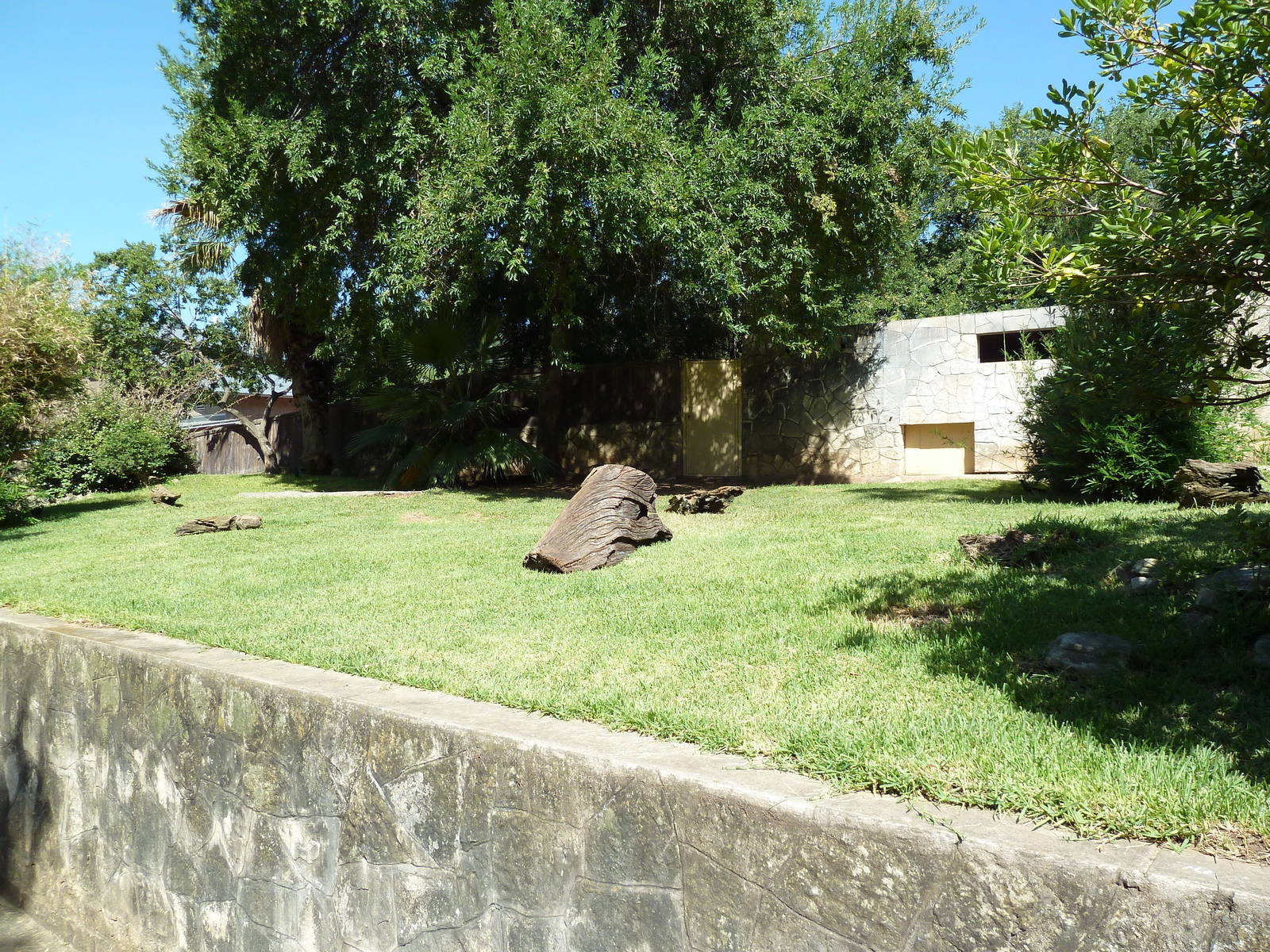 Babirusa Exhibit