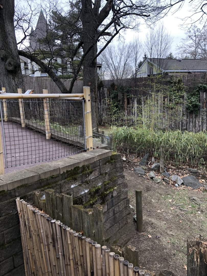 Babirusa Habitat (Left) - Feb, 2020