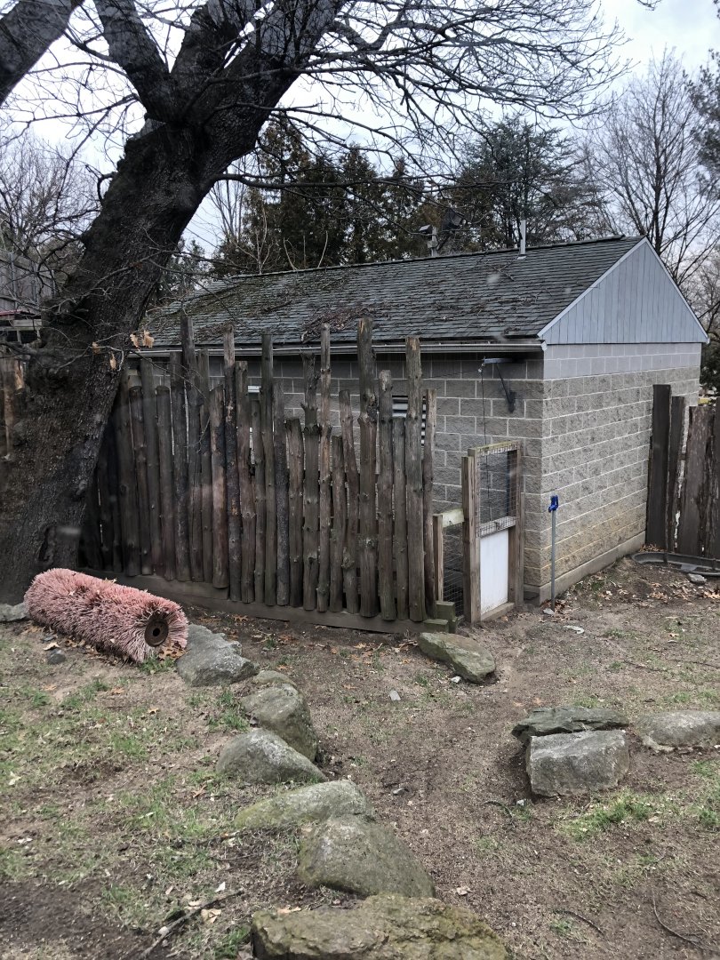 Babirusa Habitat (Right) - Feb, 2020