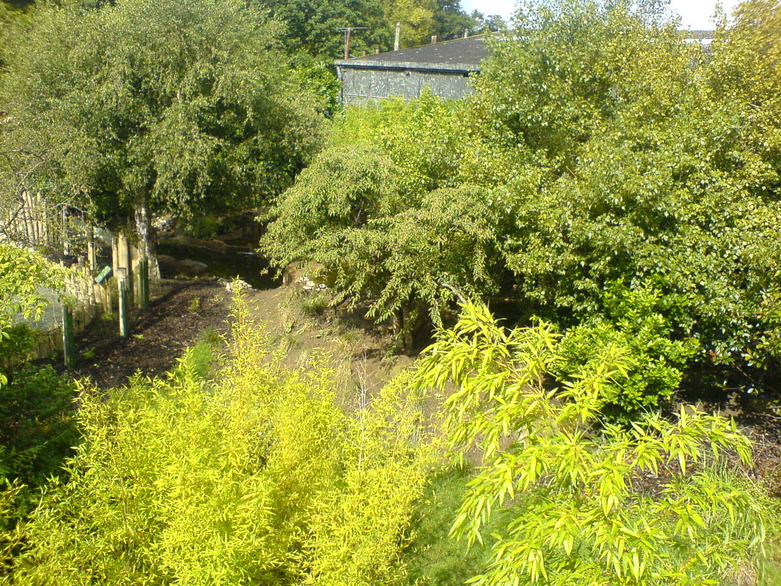 Babirusa/Otter enclosure
