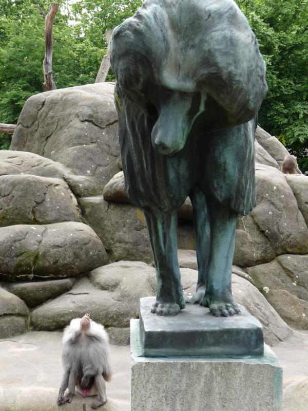 Baboon and Baboon Statue