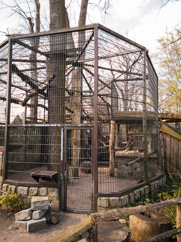 Baboon cage (Papio anubis)