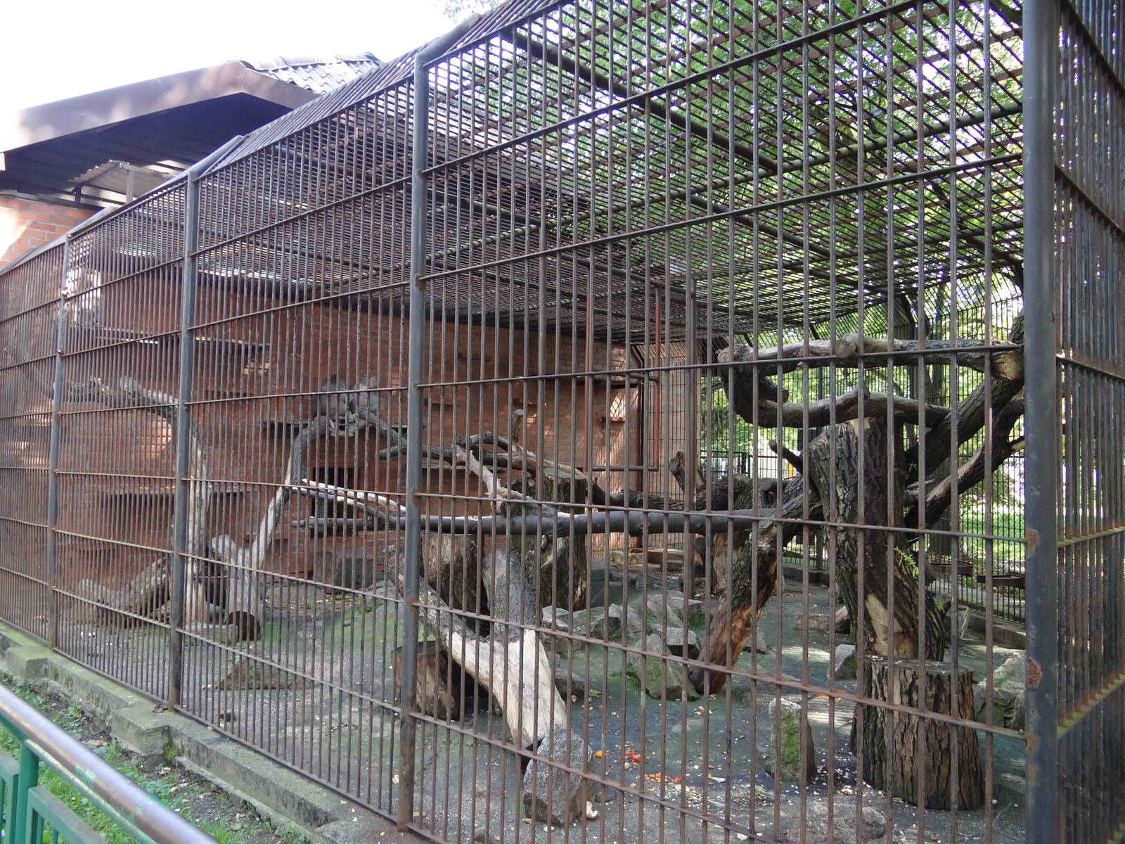 Baboon cage