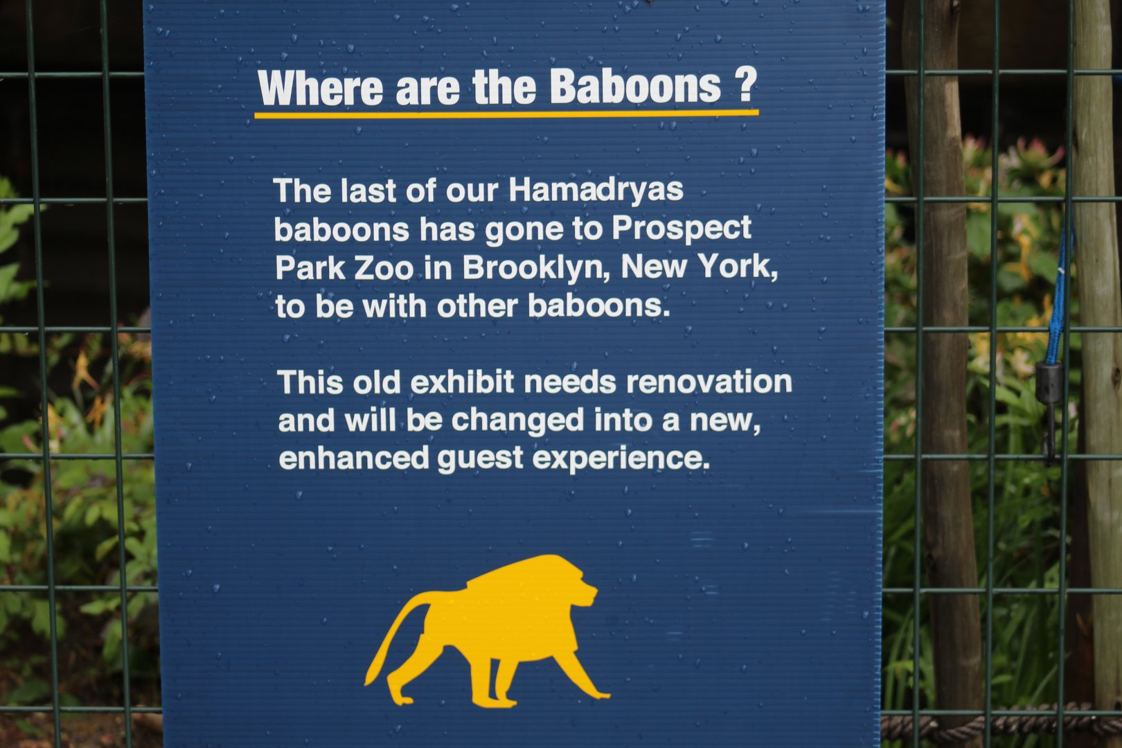 Baboon Departure Sign