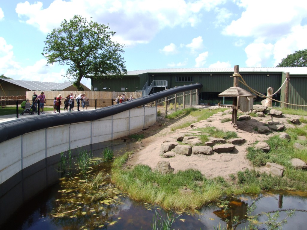 Baboon Enclosure and Viewing at Yorkshire WP, 21/06/14