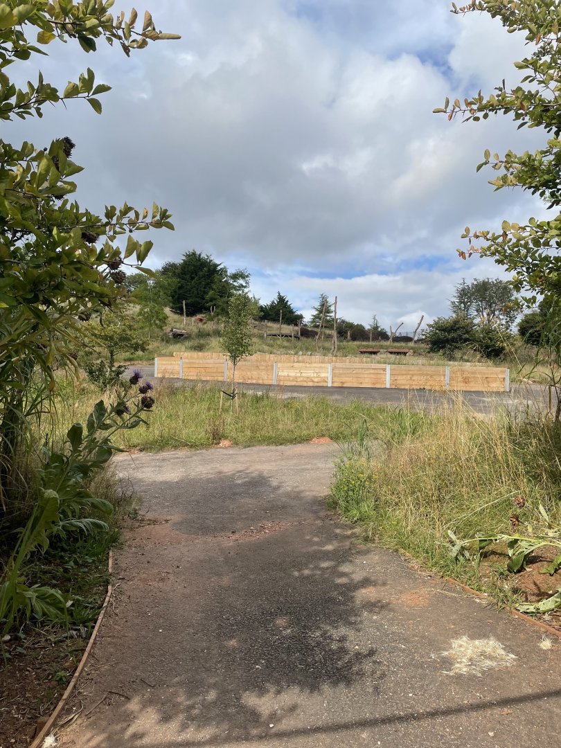 Baboon Enclosure Construction