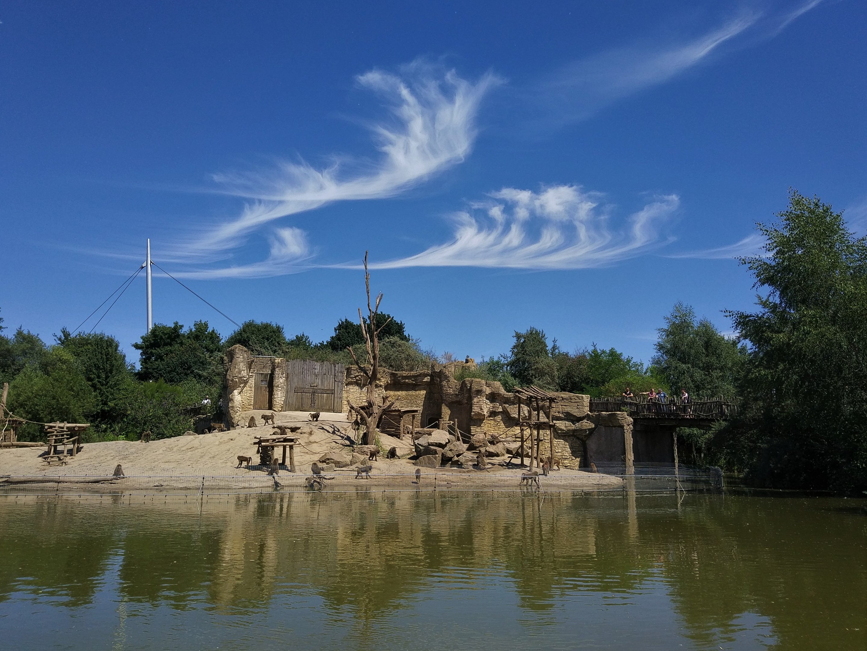 Baboon Enclosure from Boat