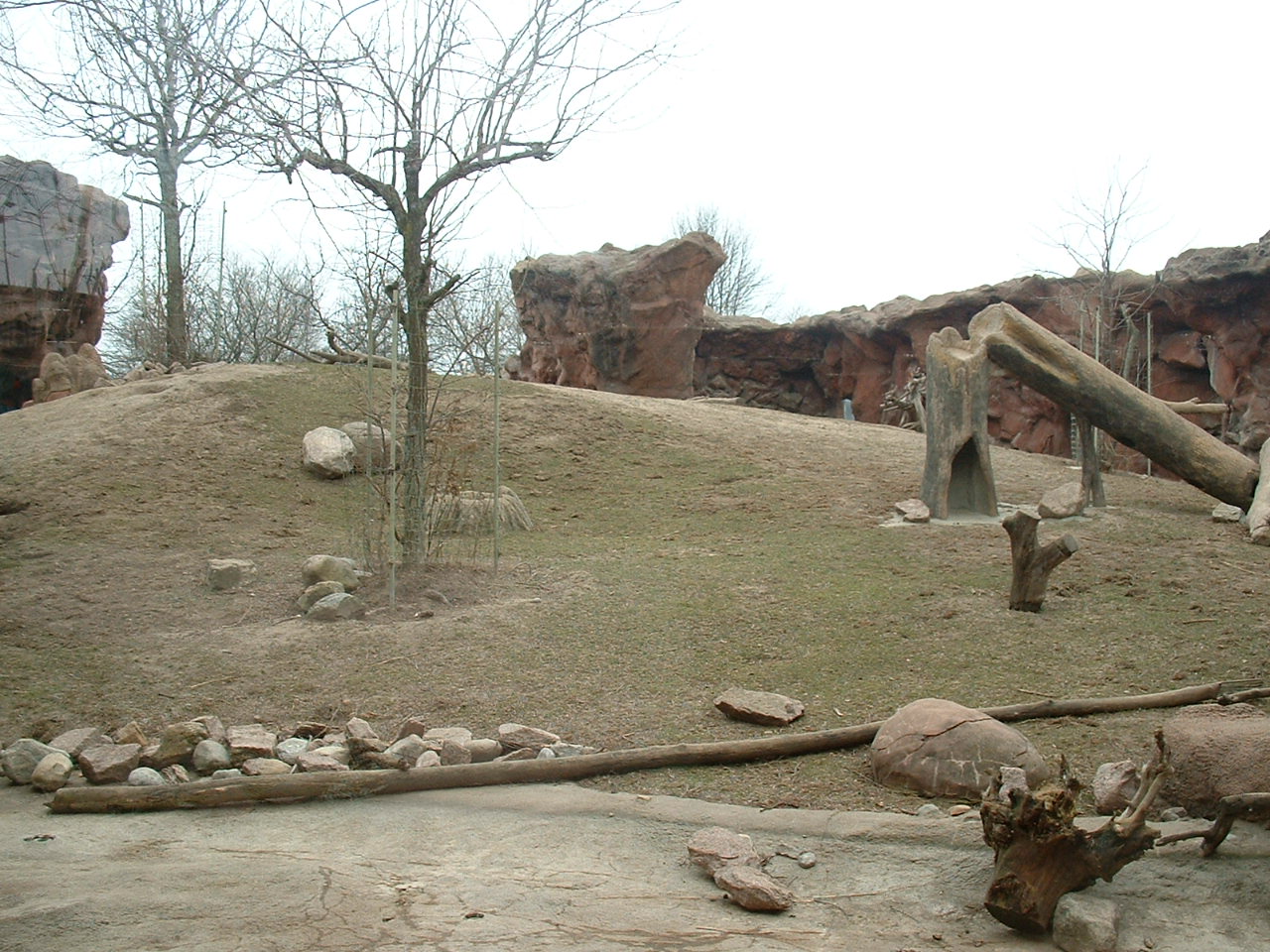 Baboon Enclosure - Nov 2012