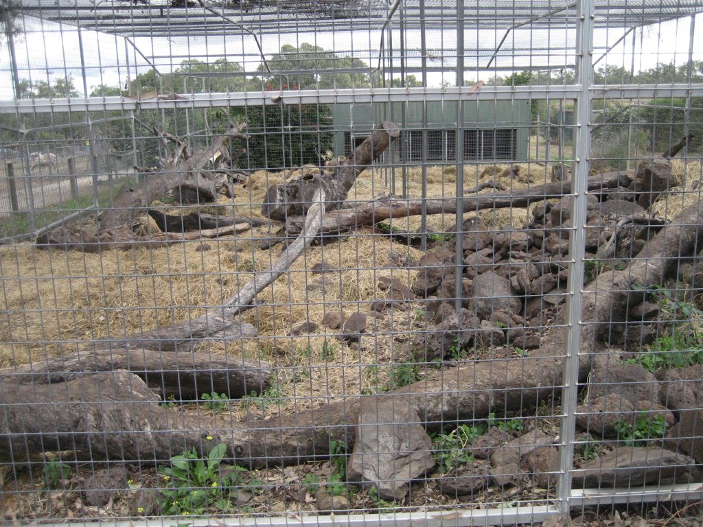 Baboon enclosure