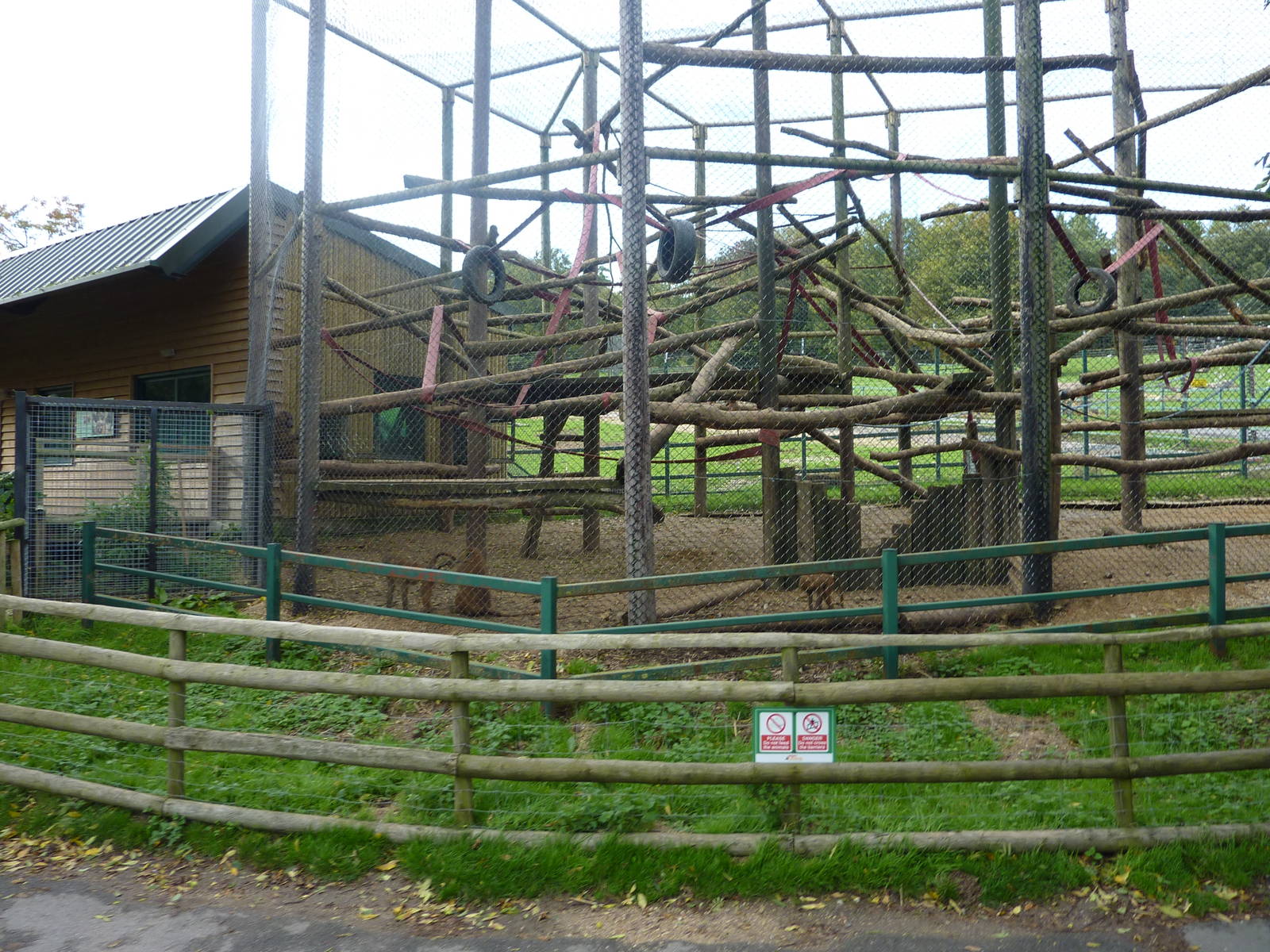 baboon enclosure