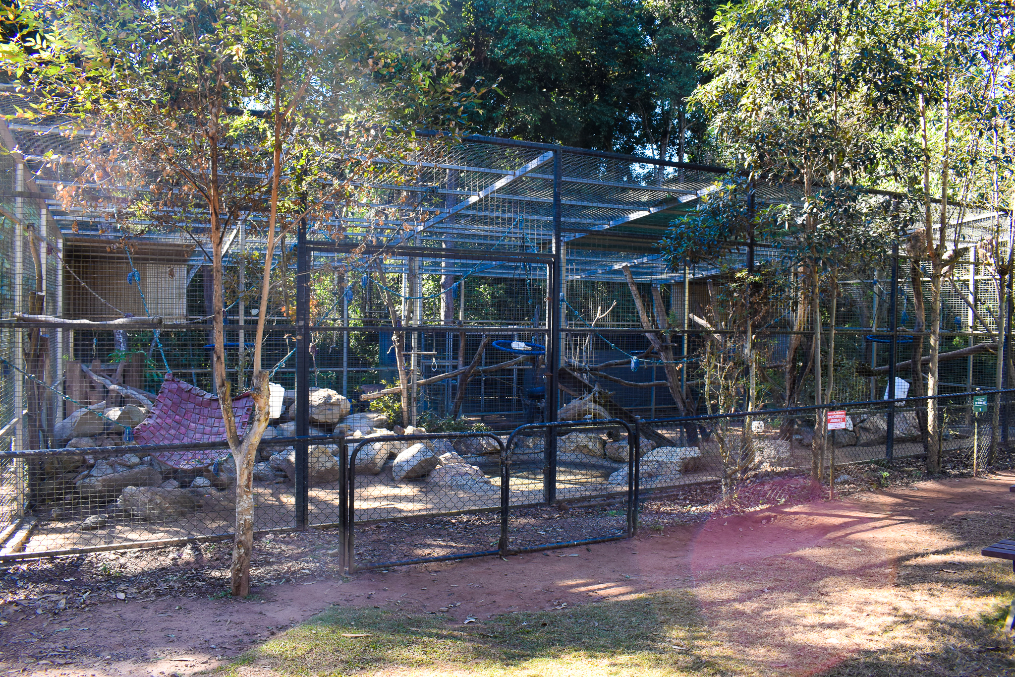 Baboon Enclosure