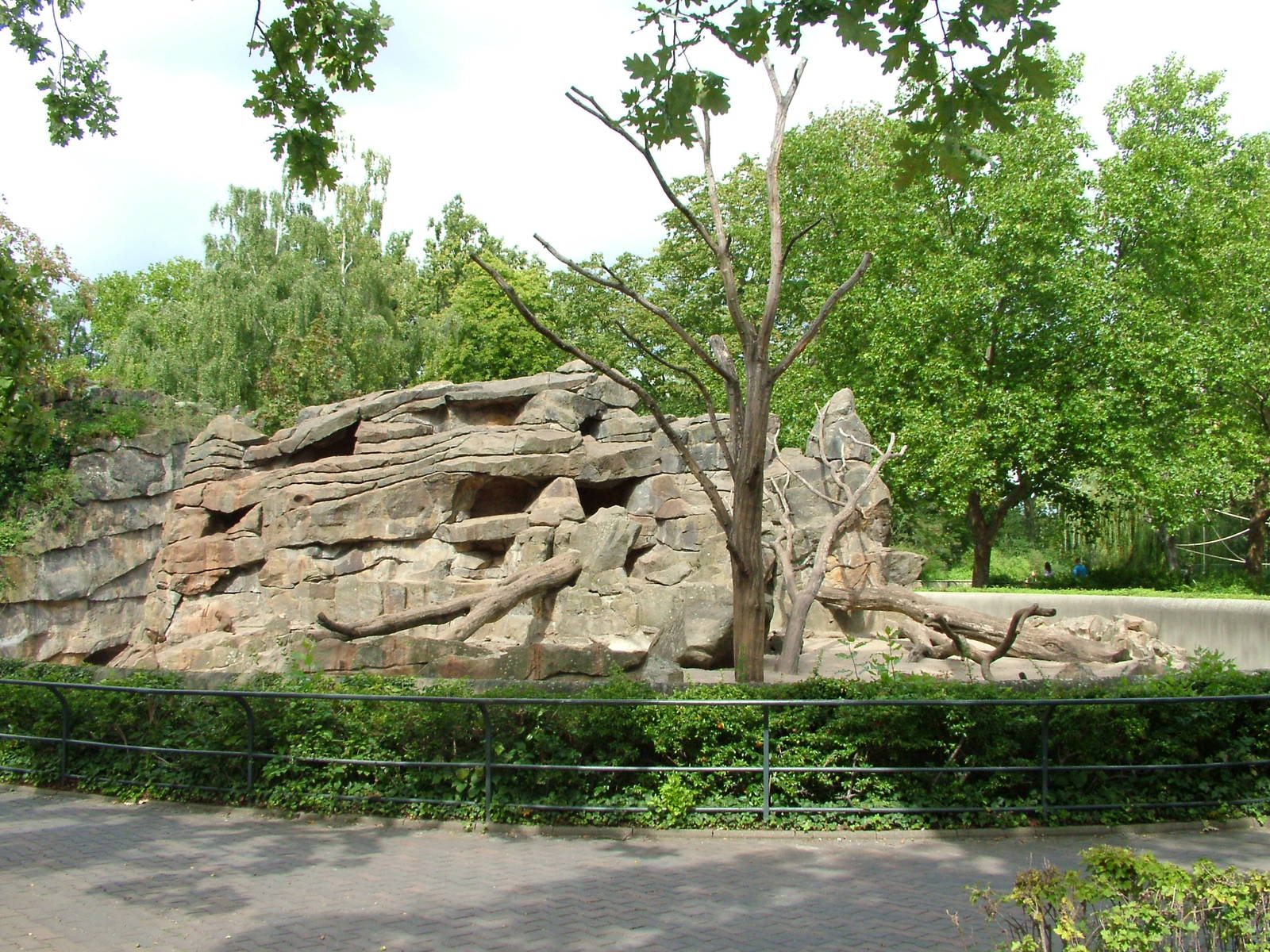 Baboon Exhibit at Berlin Zoo, 31/08/11