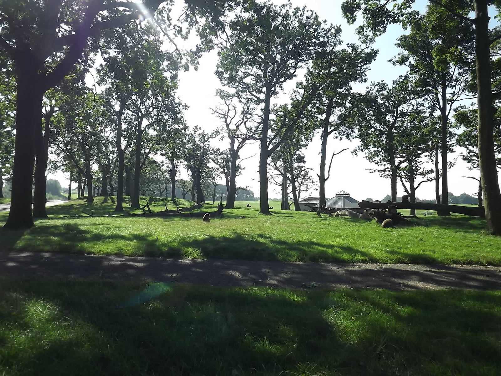Baboon exhibit at Knowsley Safari Park 08/09/12
