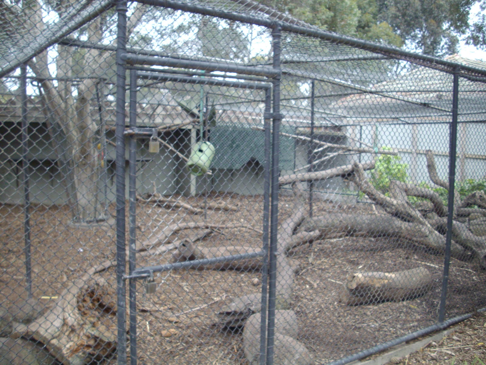 Baboon exhibit at the Melbourne Zoo, July 2009