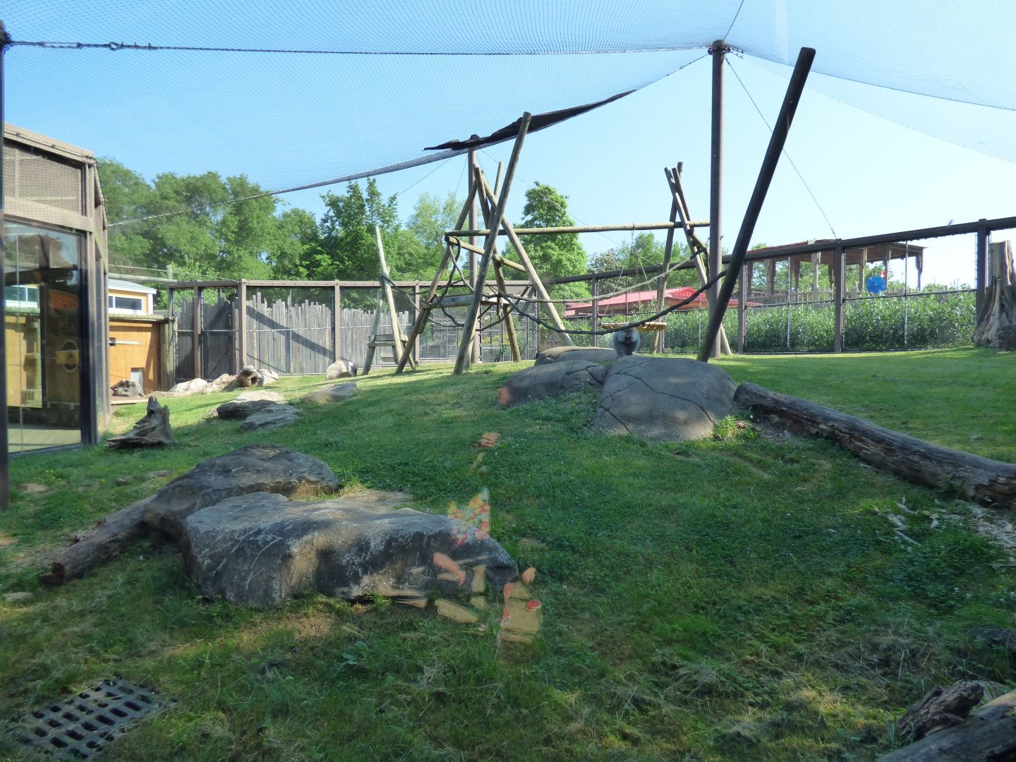 Baboon Exhibit - May 2018