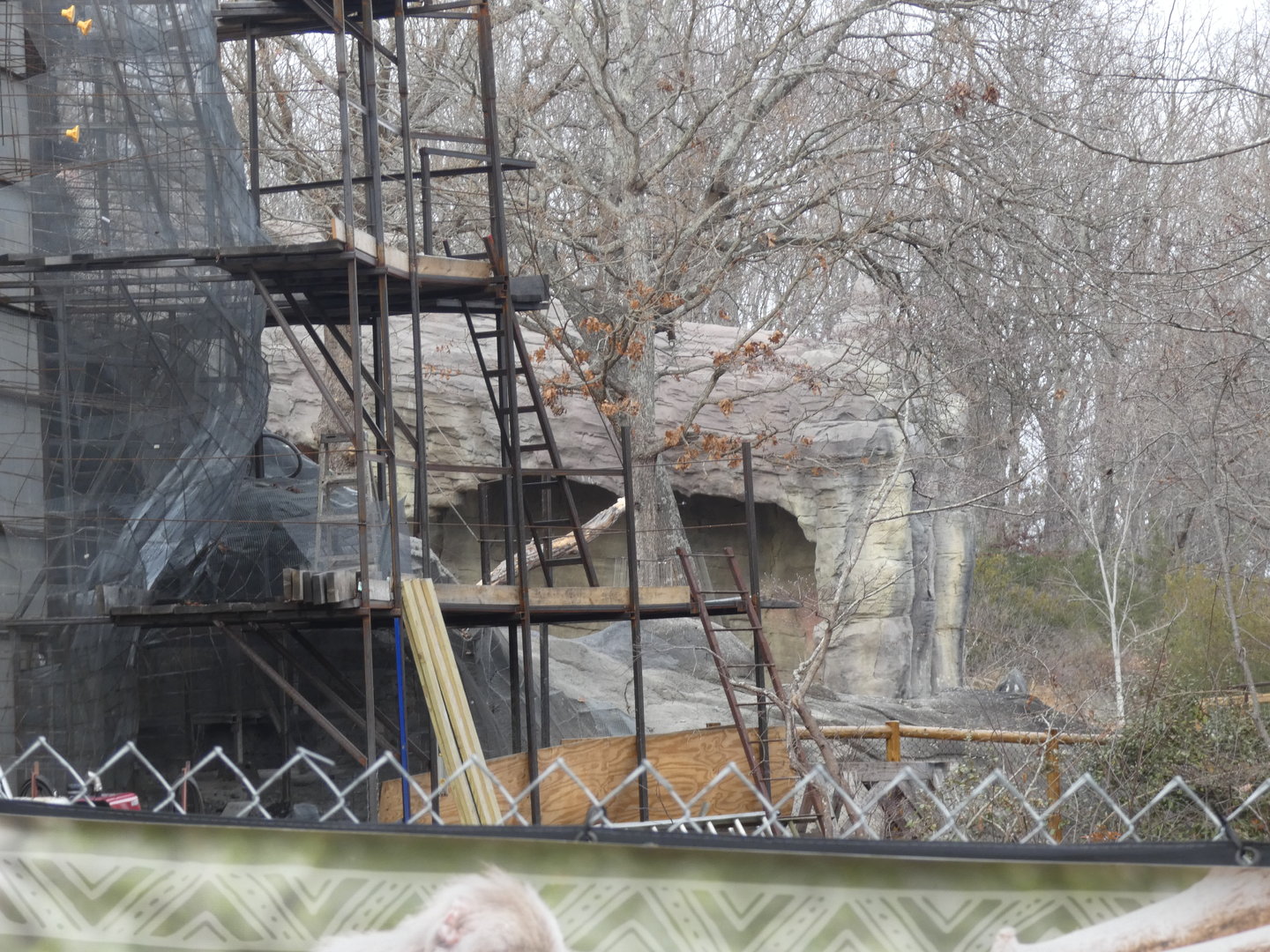 Baboon exhibit renovation progress