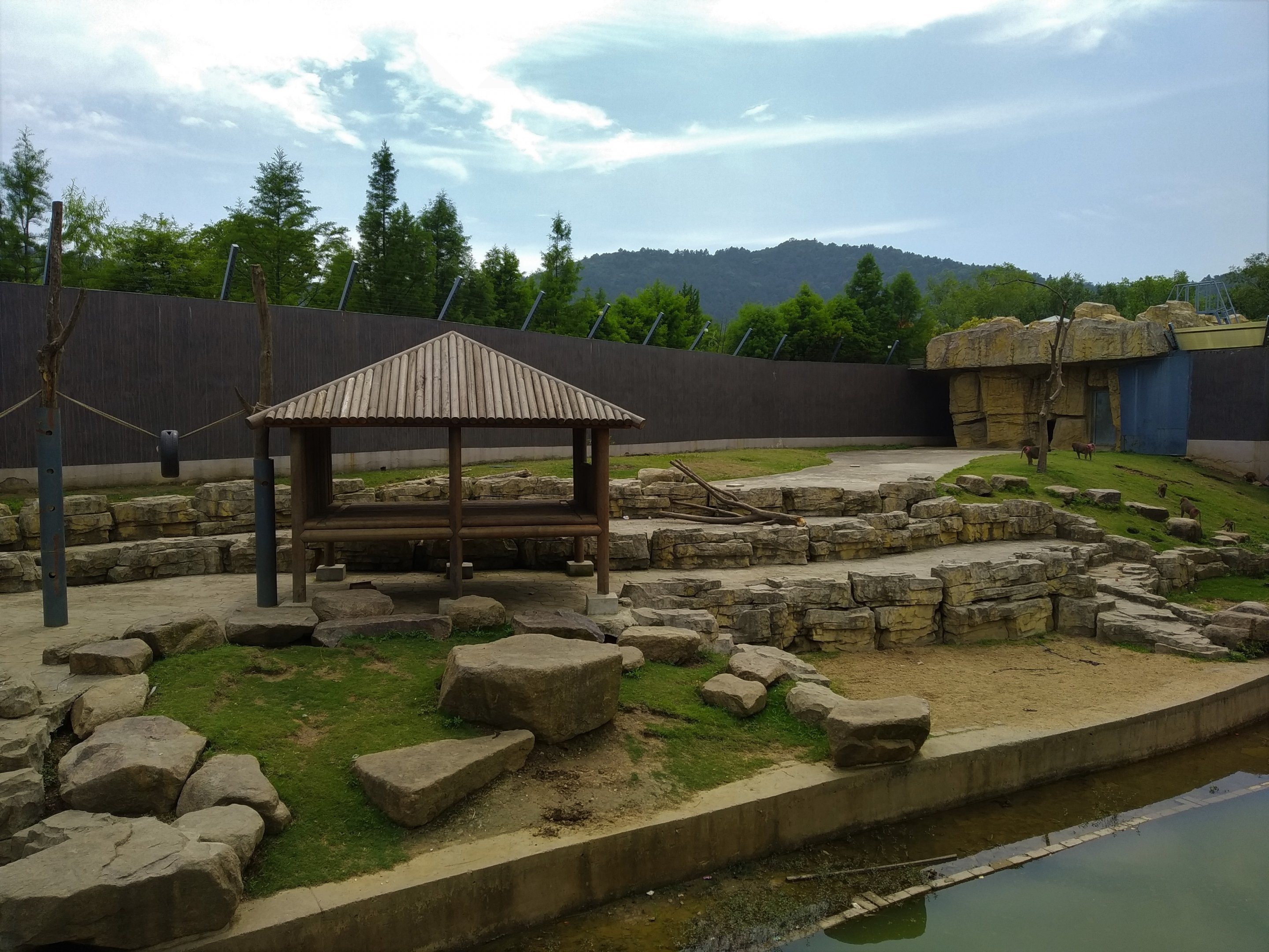 Baboon Exhibit