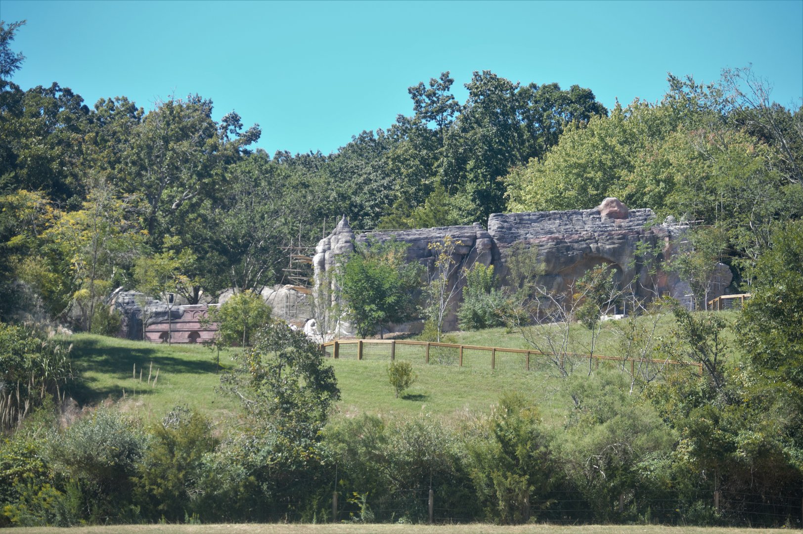 Baboon Habitat Renovation