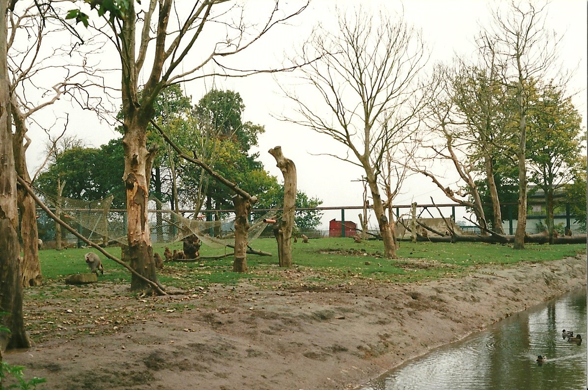 Baboon Island 23rd October 1999