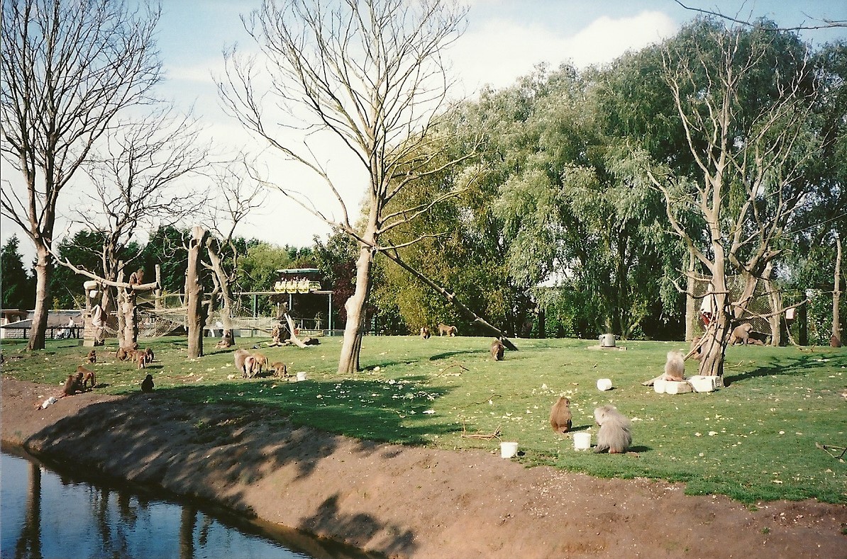 Baboon Island, 23rd September 2000