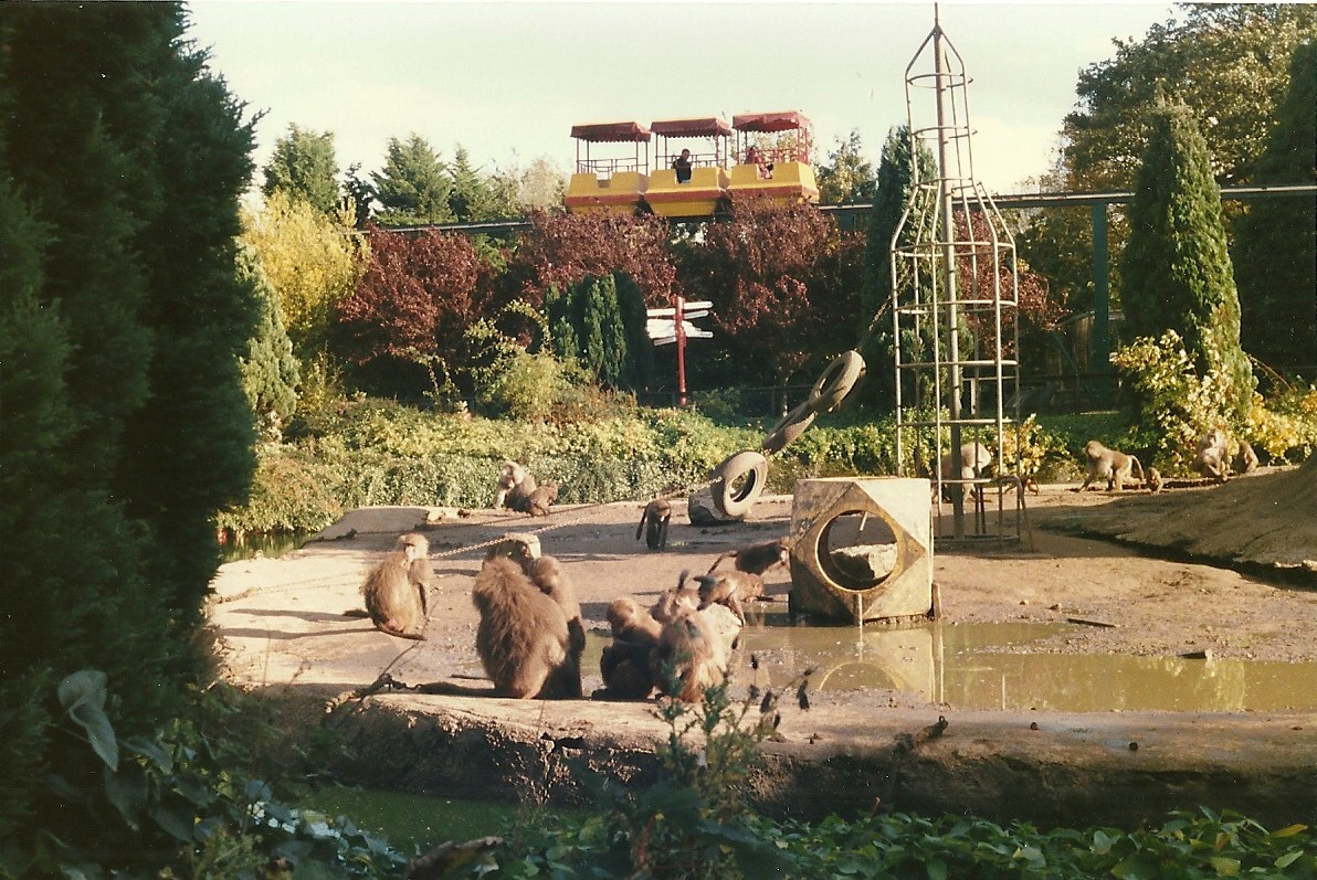 Baboon Island 26th October 1996