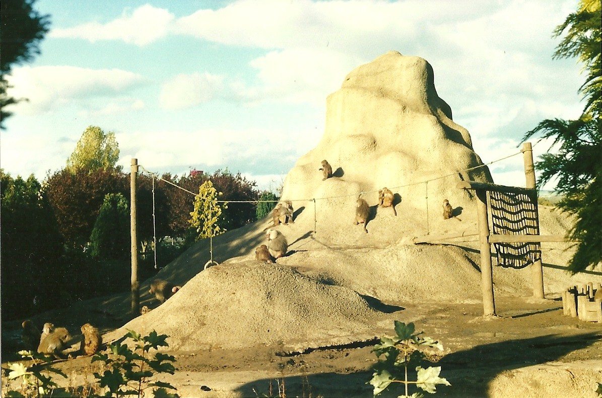 Baboon Island 26th October 1996