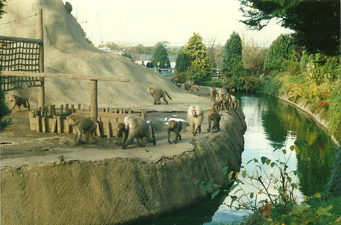 Baboon Island 26th October 1996