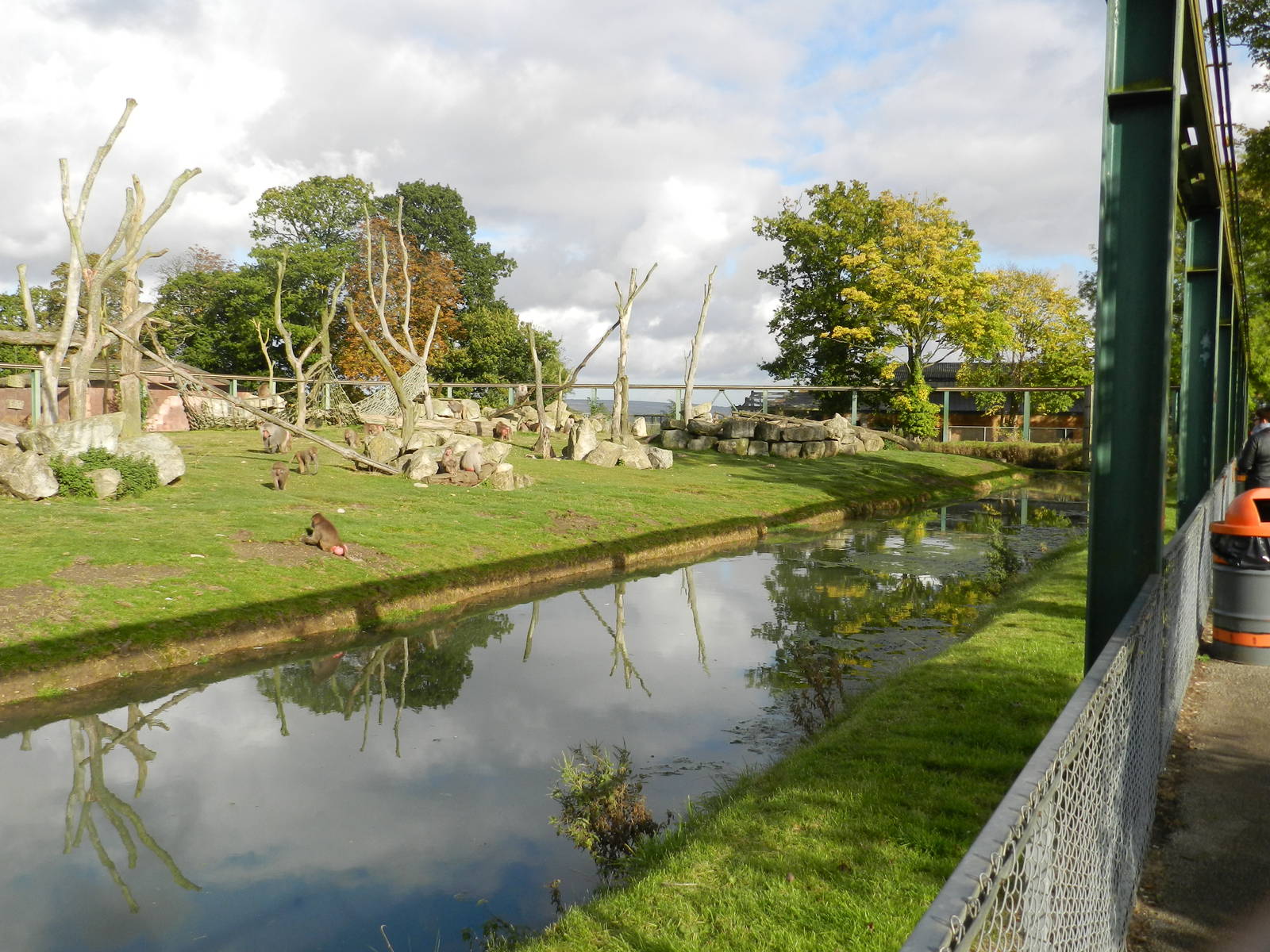 Baboon Island at Flamingo Land - 14/10/2012