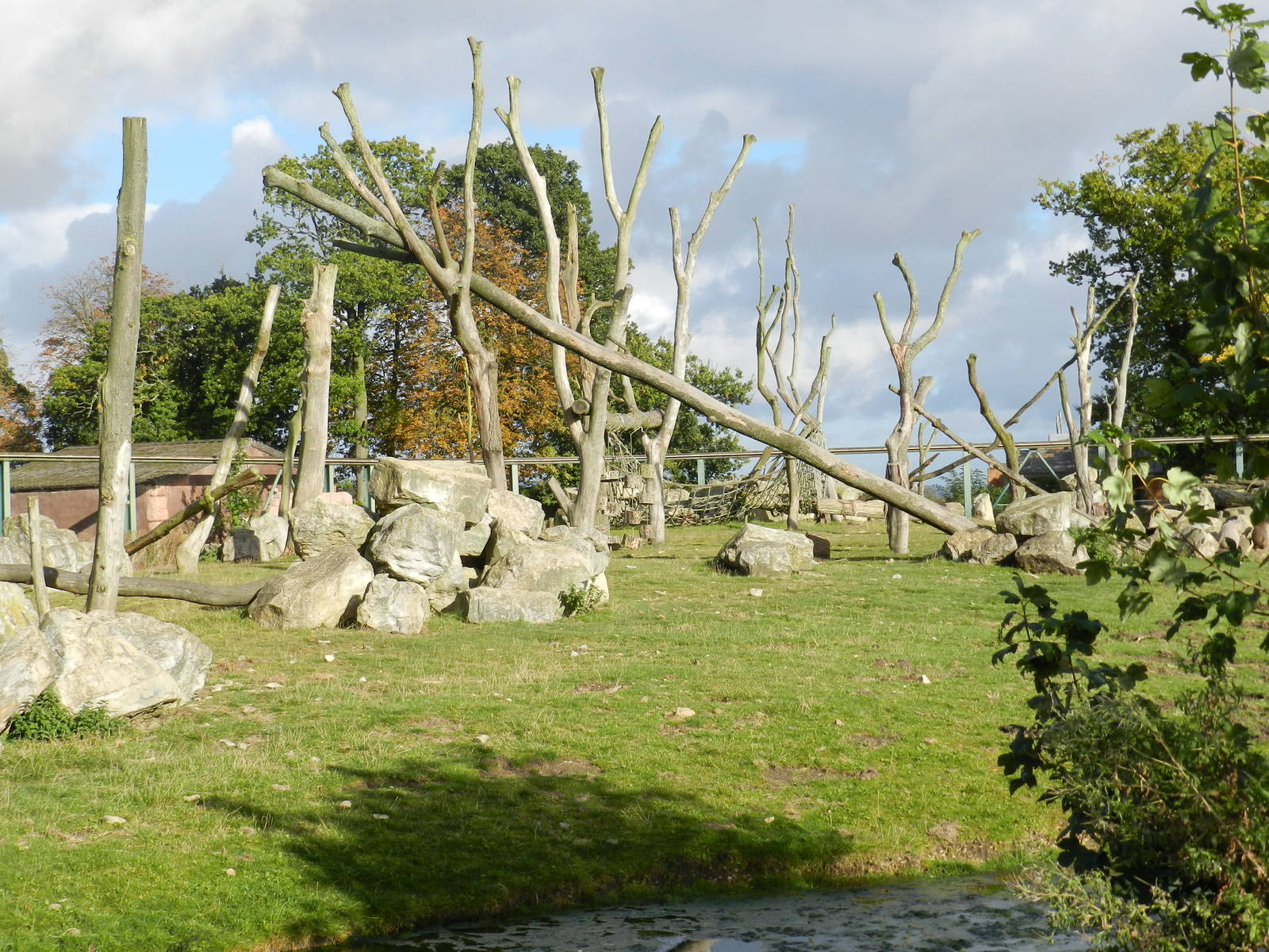 Baboon Island at Flamingo Land - 14/10/2012