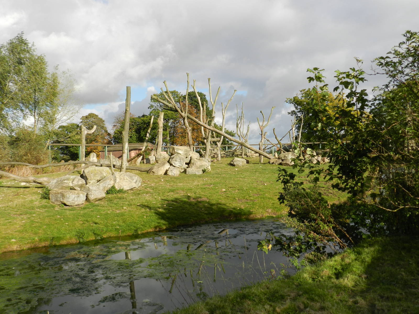 Baboon Island at Flamingo Land - 14/10/2012
