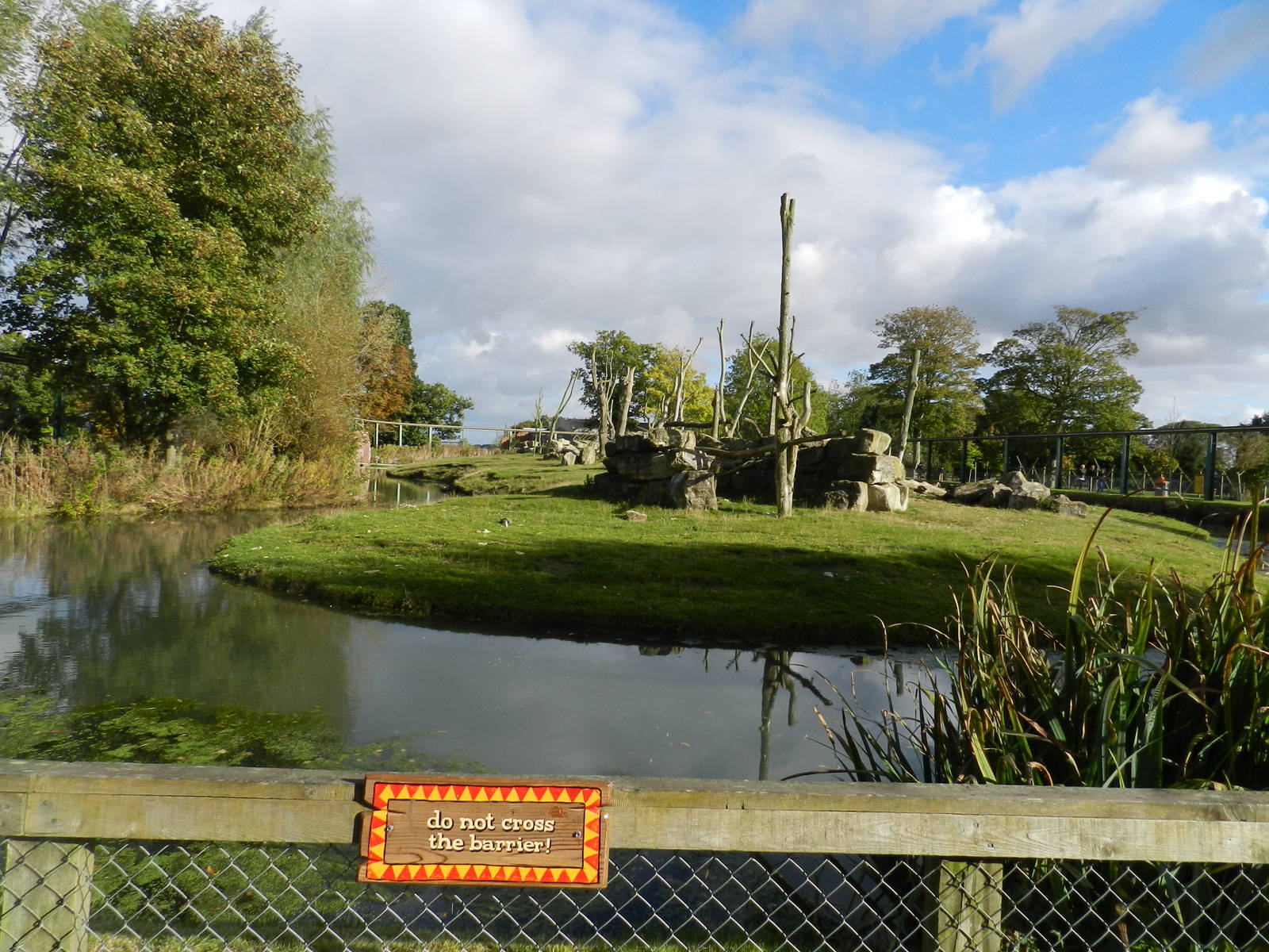 Baboon Island at Flamingo Land - 14/10/2012