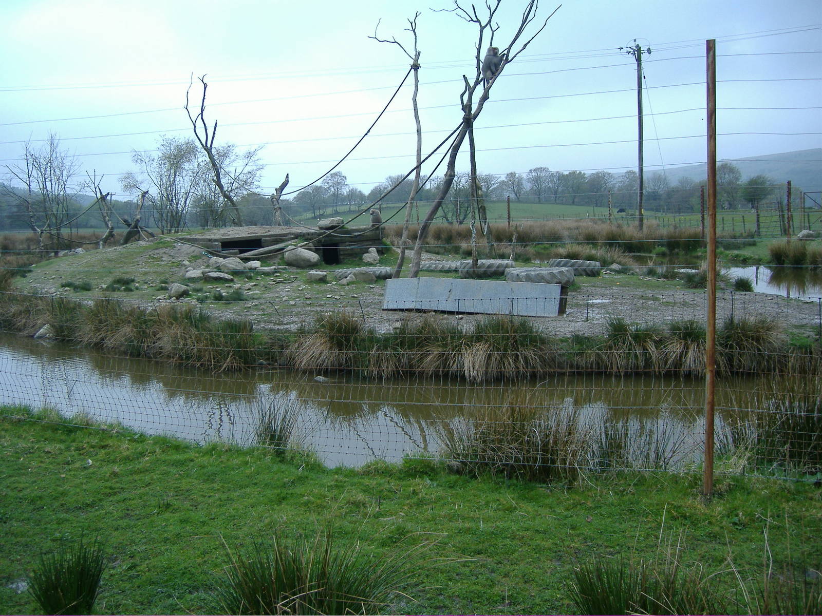 Baboon Island Cefn-yr-Erw