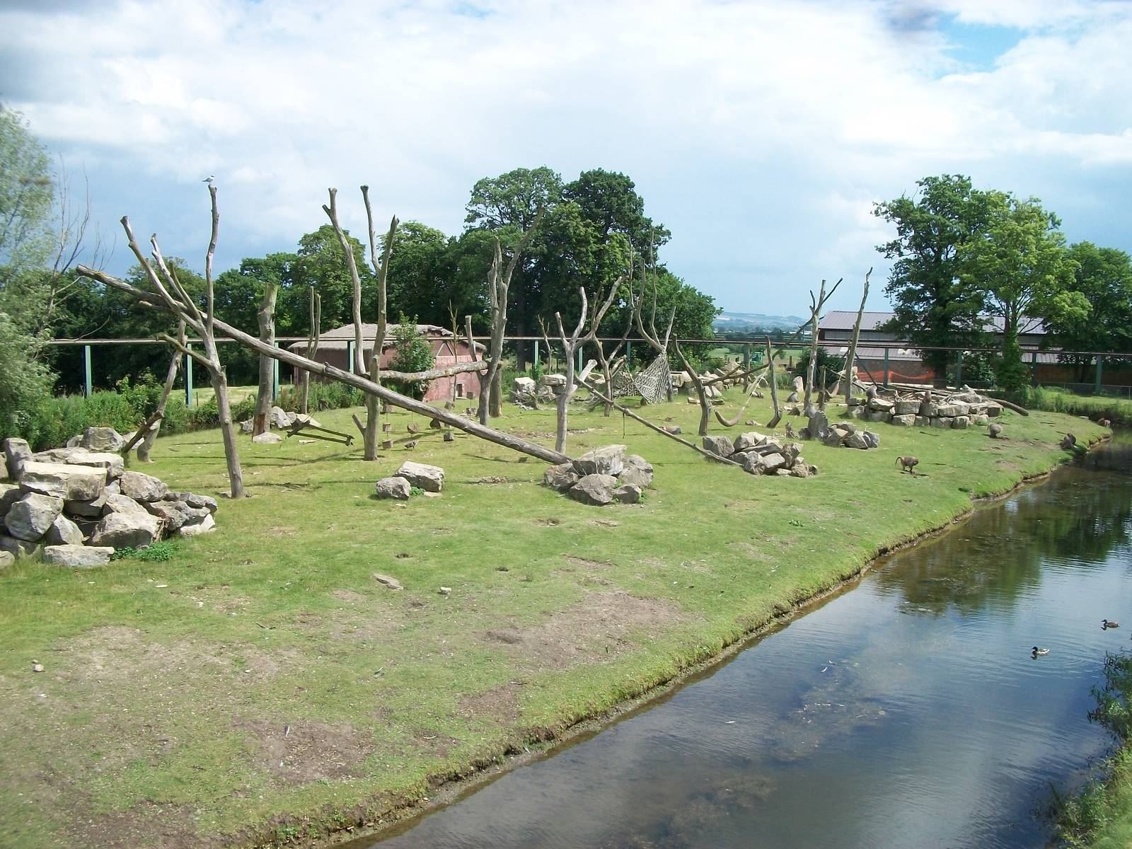 Baboon Island viewed from the monorail, 7th July 2014