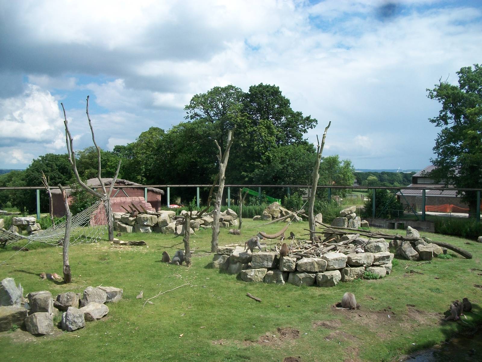 Baboon Island viewed from the monorail, 7th July 2014
