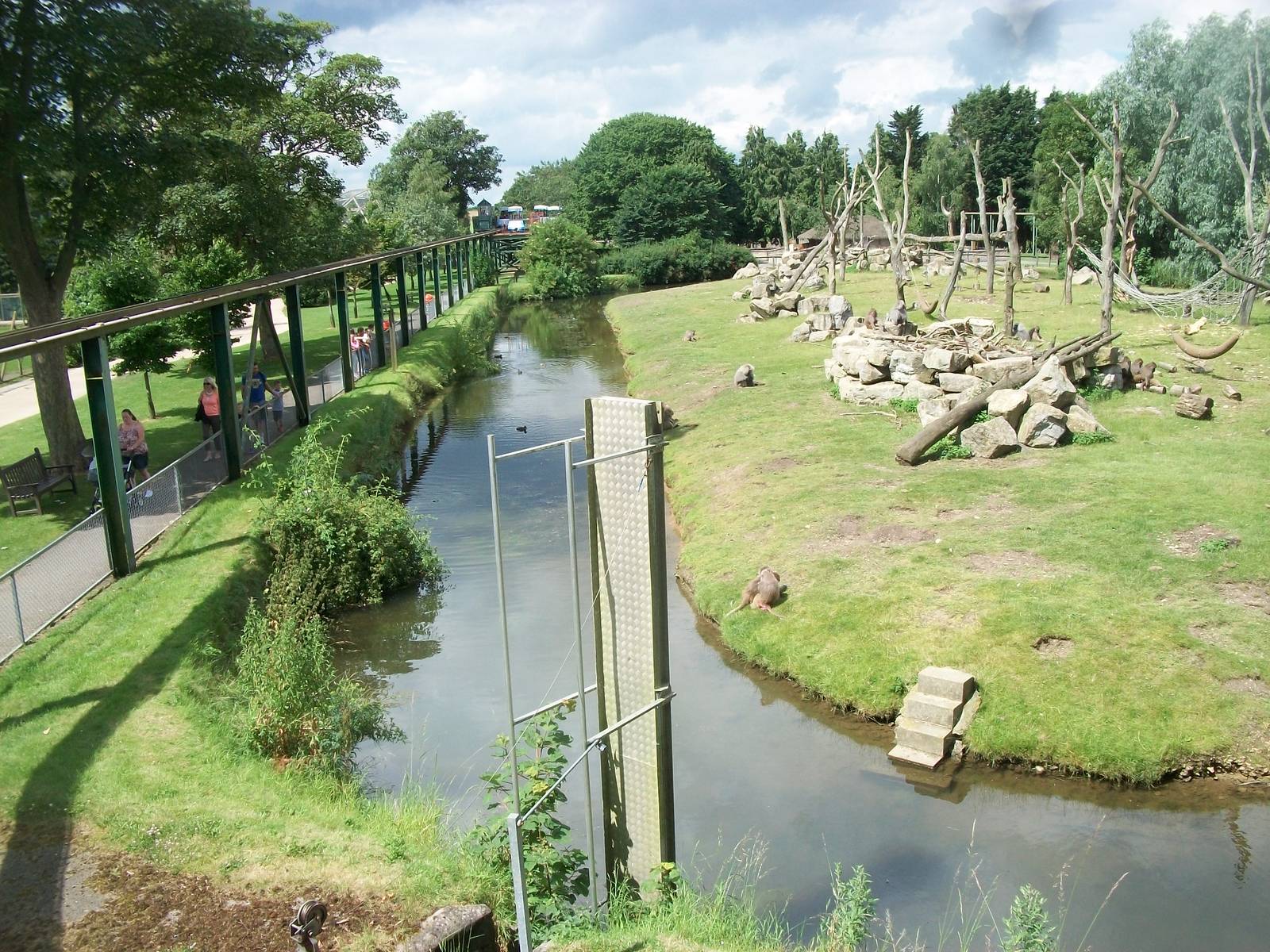 Baboon Island viewed from the monorail, 7th July 2014