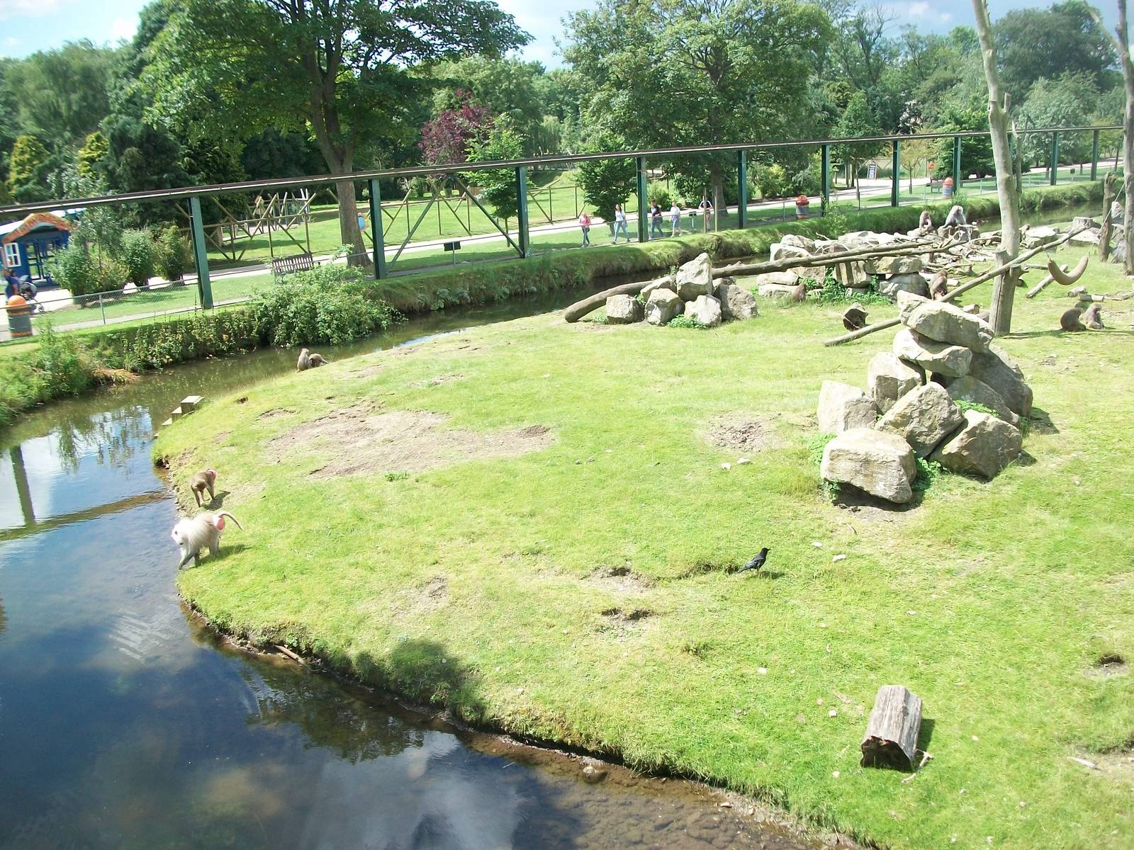 Baboon Island viewed from the monorail, 7th July 2014