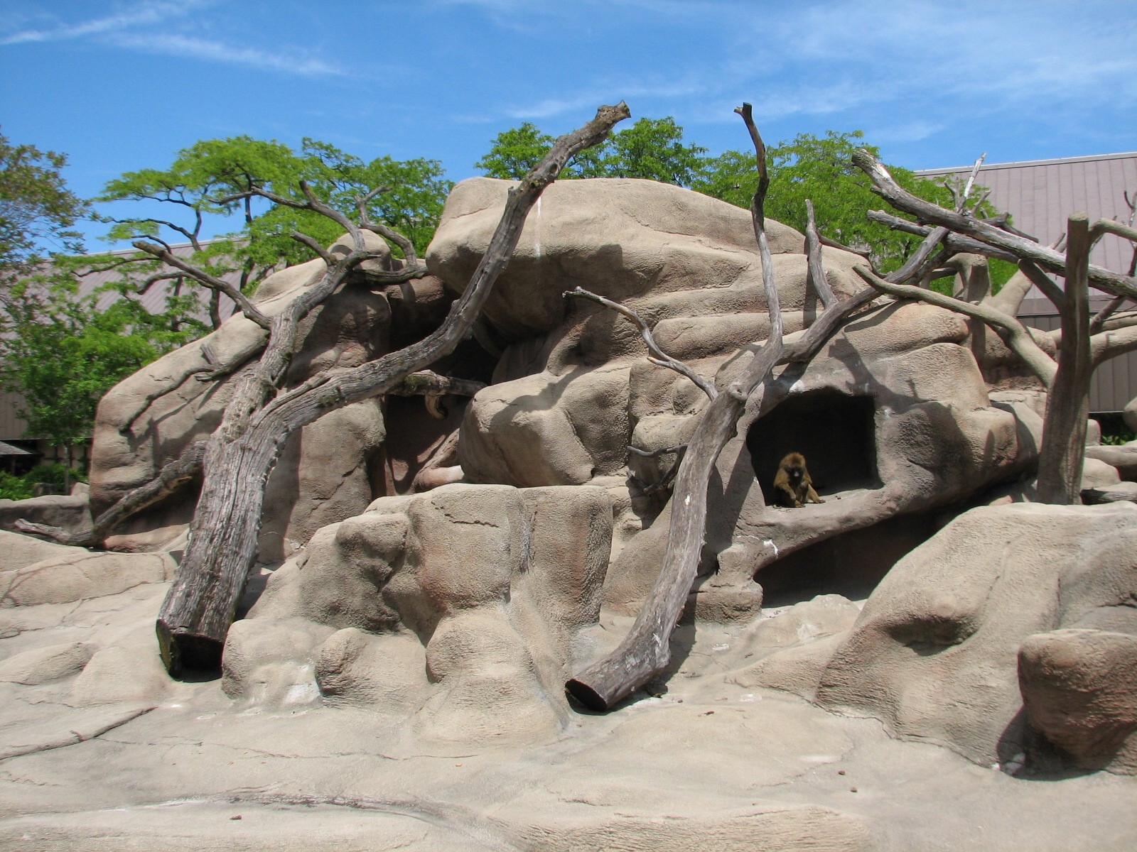 Baboon Island