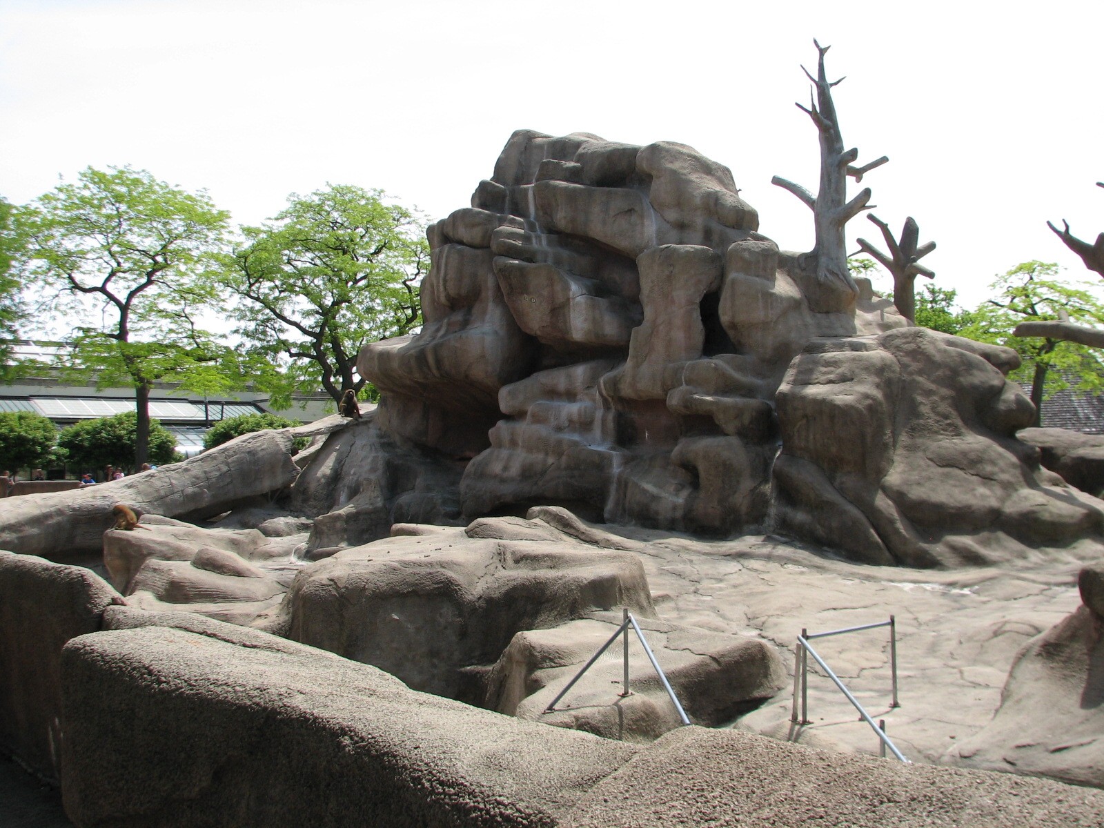 Baboon Island