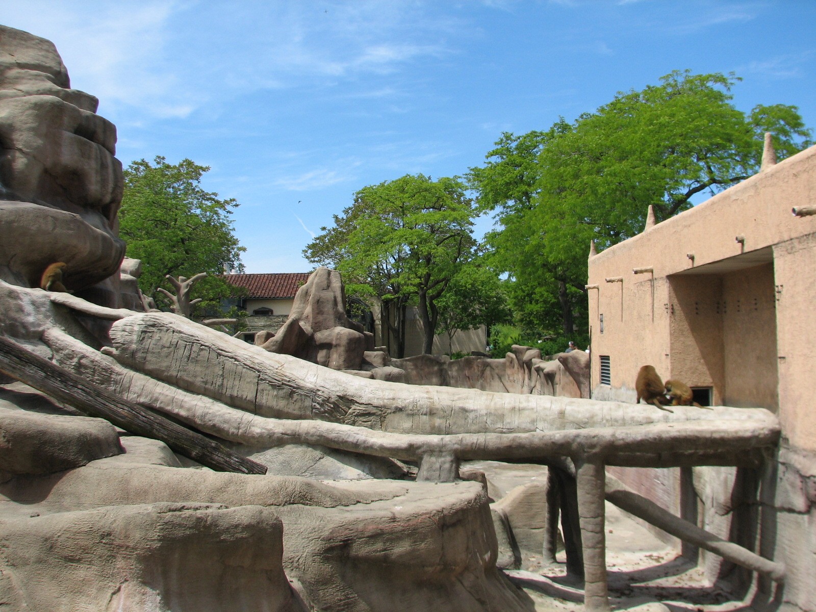 Baboon Island