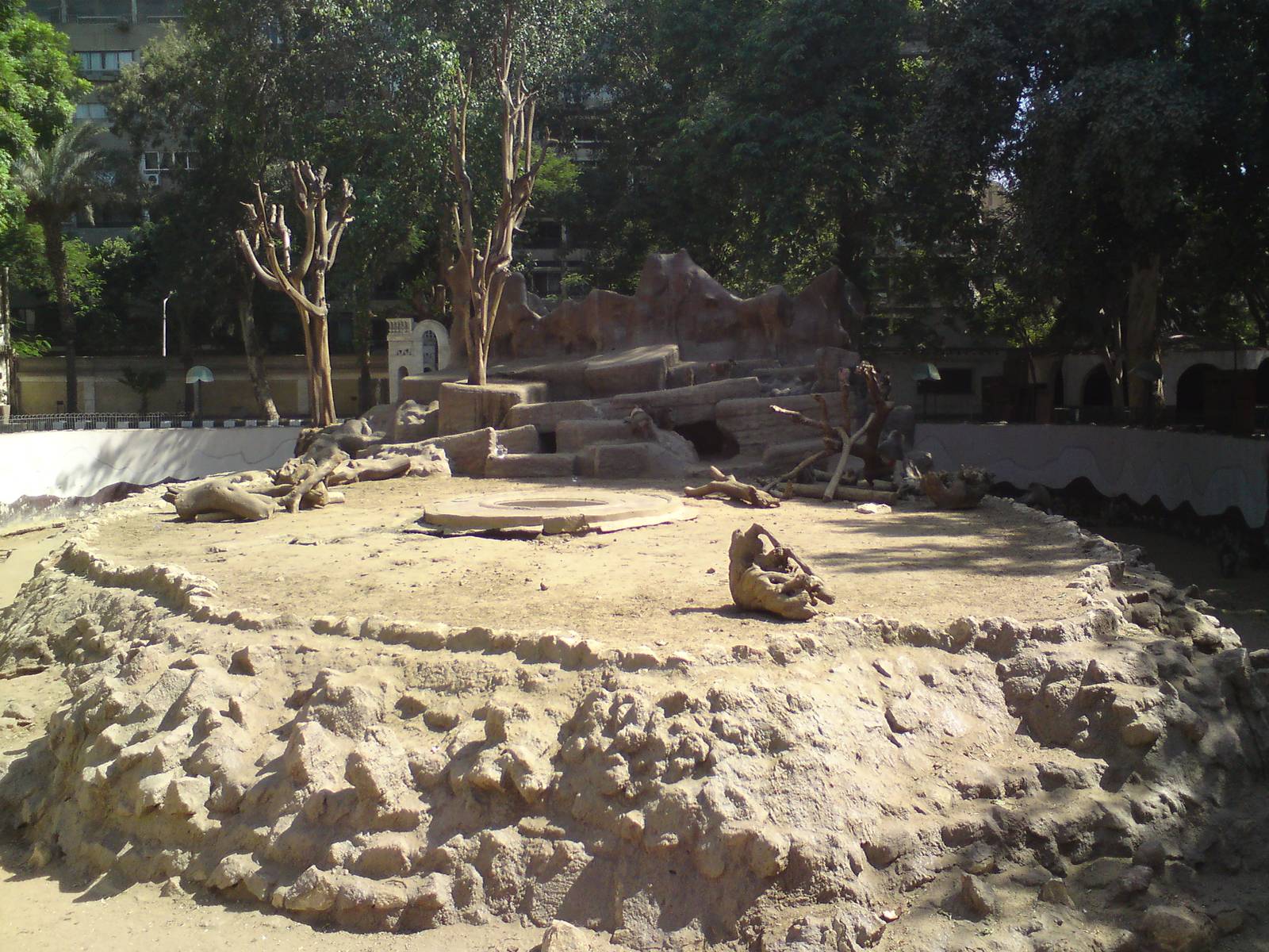 Baboon mound
